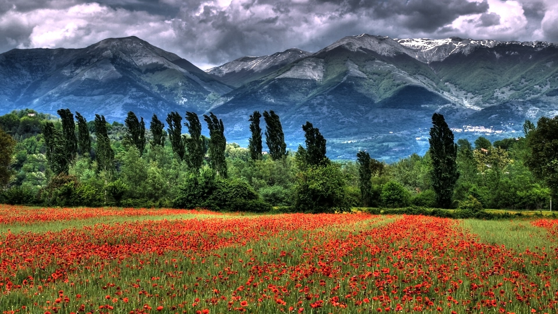 General 1920x1080 trees clouds landscape flowers grass HDR plants mountains Agro (Plants)