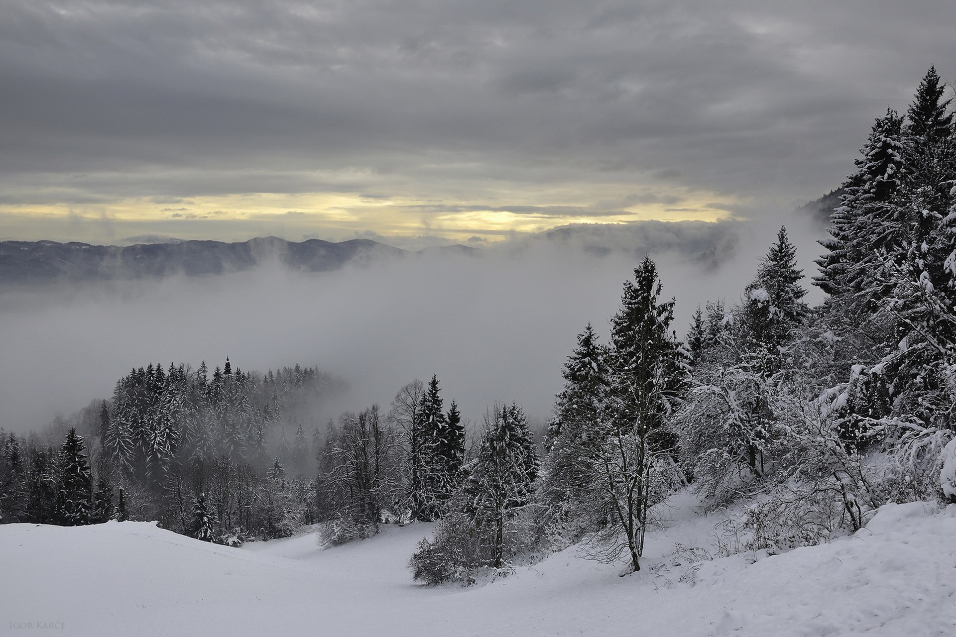 Снежная пелена. Зимние горы. Зима туман. Уральские горы зима. Зимний лес в тумане.