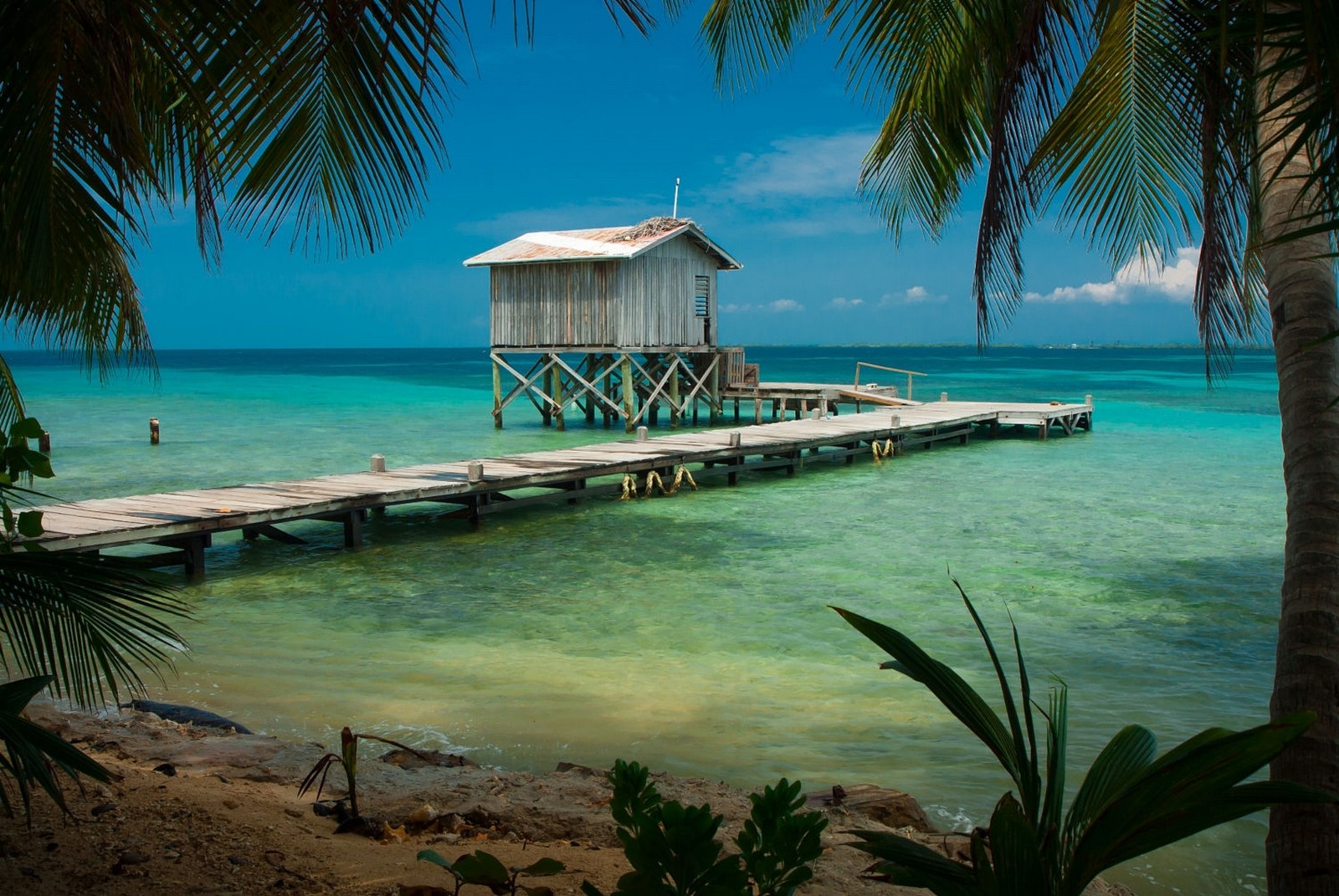 General 1600x1071 nature photography Caribbean sea dock hut beach palm trees tropical Belize pier sky