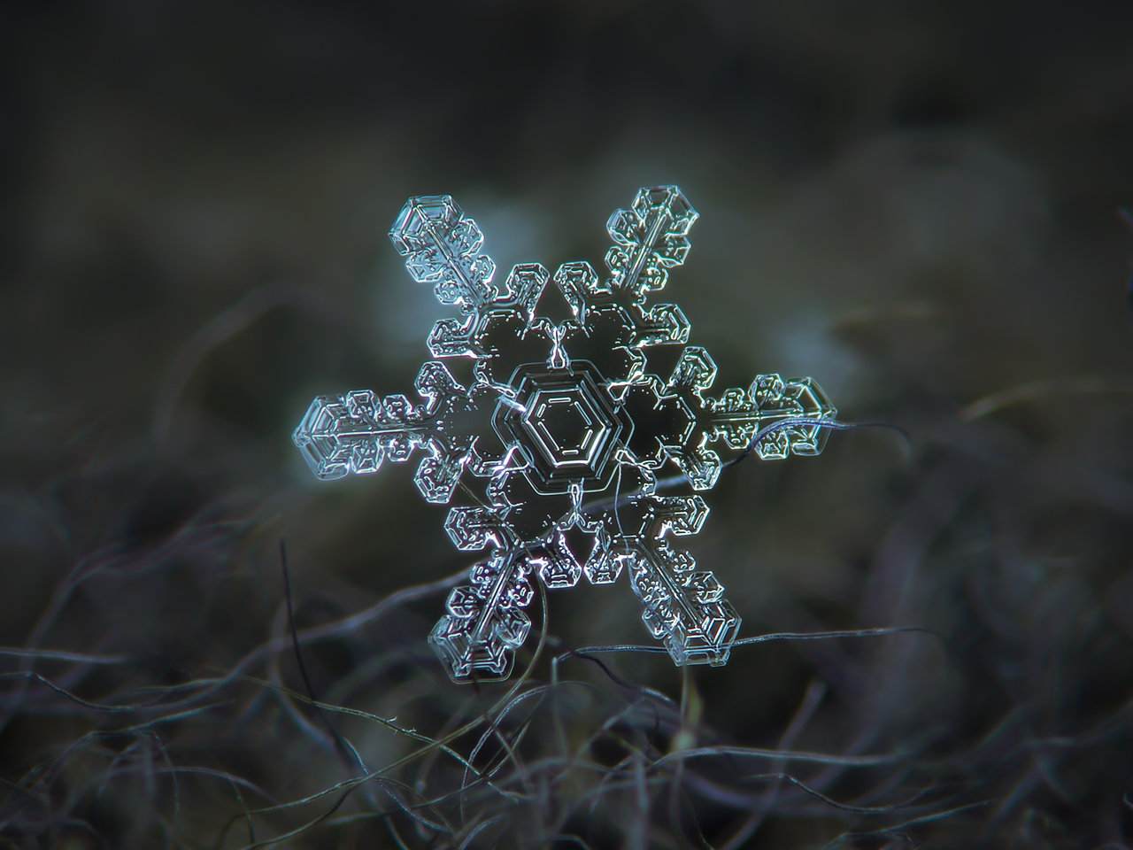 General 1280x960 field detailed snowflakes