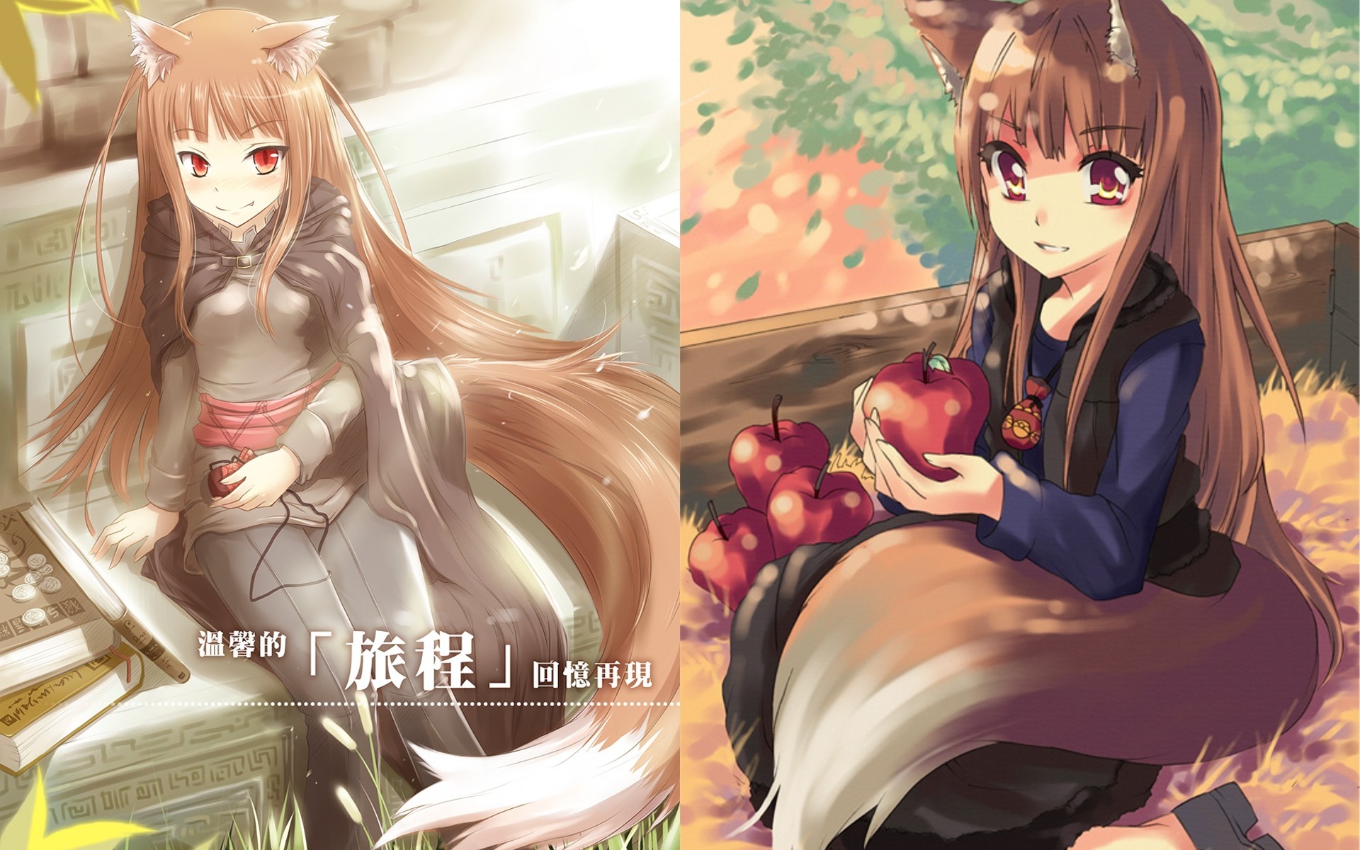 Anime 1920x1200 anime Spice and Wolf Holo (Spice and Wolf)