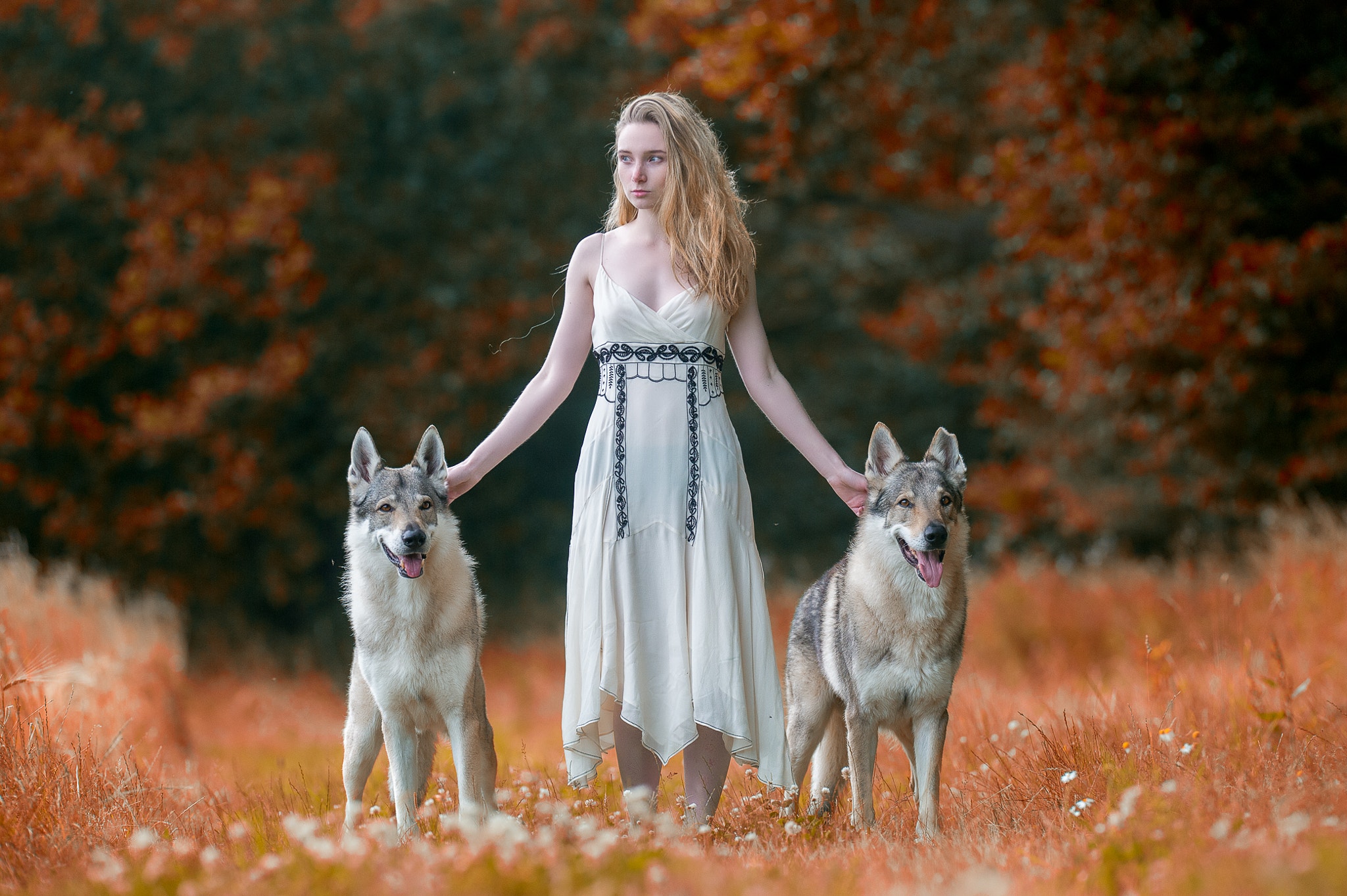 People 2048x1363 women wolf white dress pale women outdoors long hair blonde dress fall