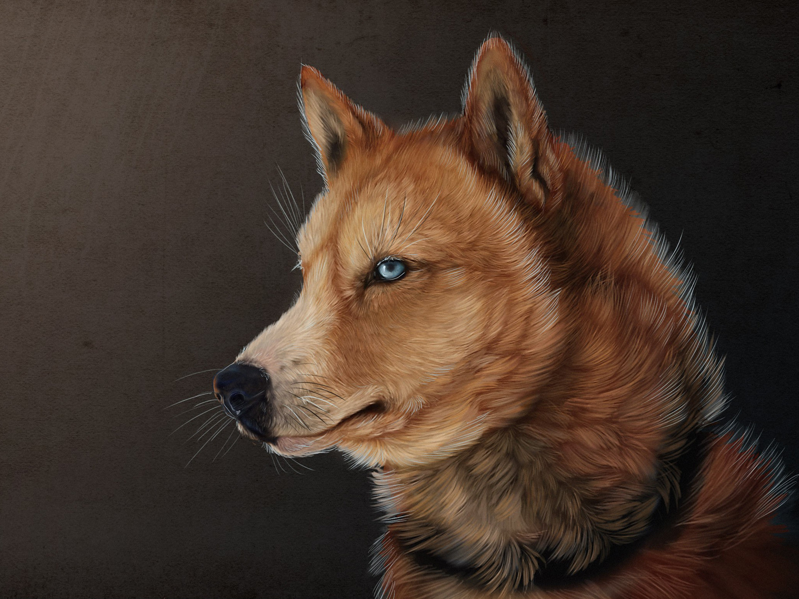 General 1600x1200 wolf illustration animals digital art simple background