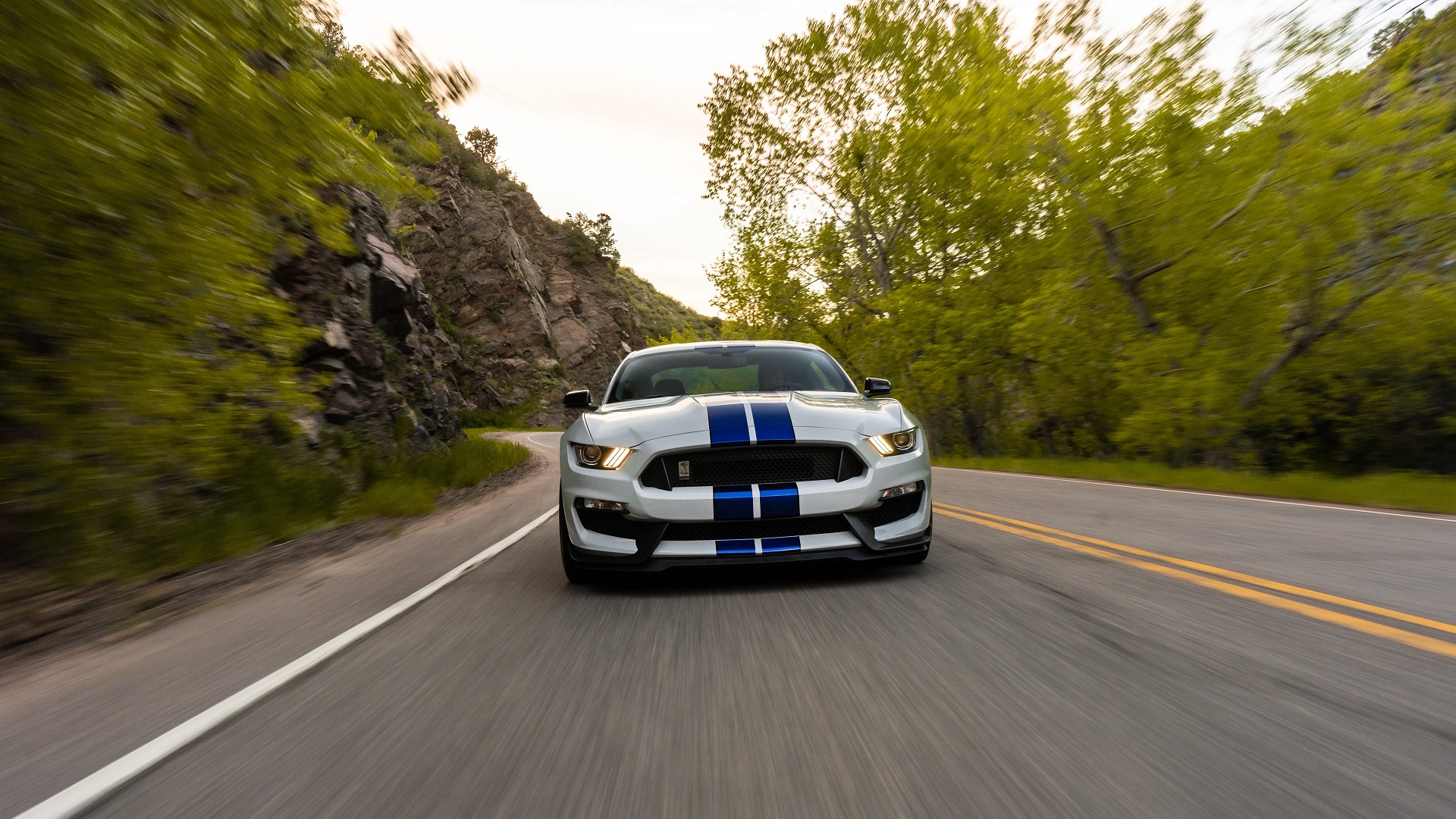 General 1920x1080 car Ford Ford Mustang road trees motion blur stripes striped Ford Mustang Shelby Ford Mustang S550 frontal view muscle cars American cars