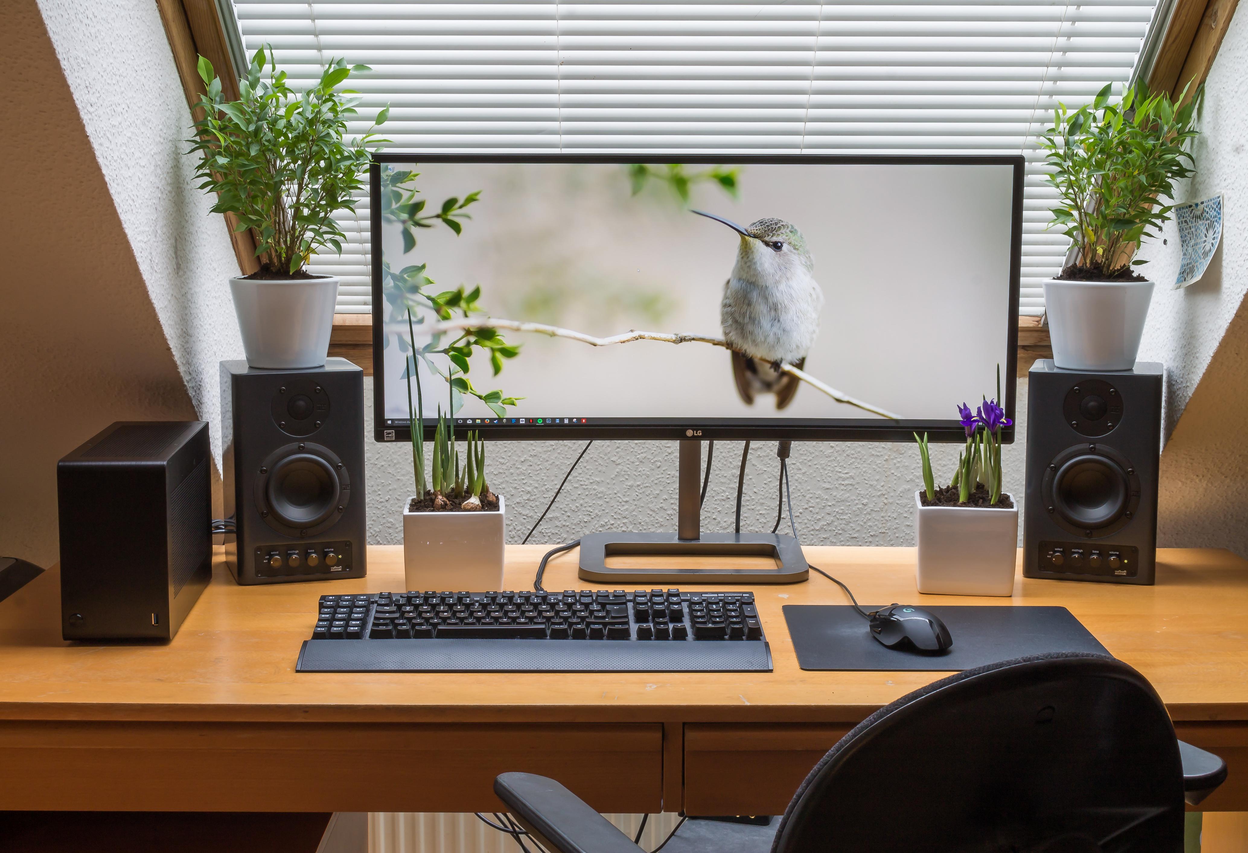 General 4135x2825 workspace computer monitor desk speakers keyboards plant pot plants blinds technology computer mice display