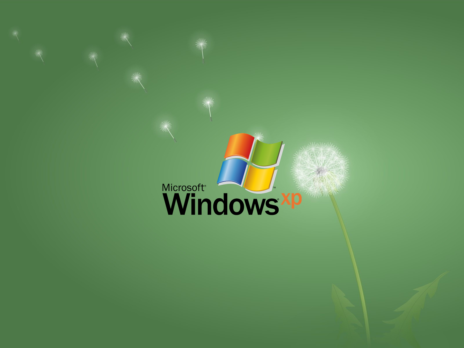 General 1600x1200 dandelion artwork logo operating system Windows XP Microsoft Windows simple background windows logo