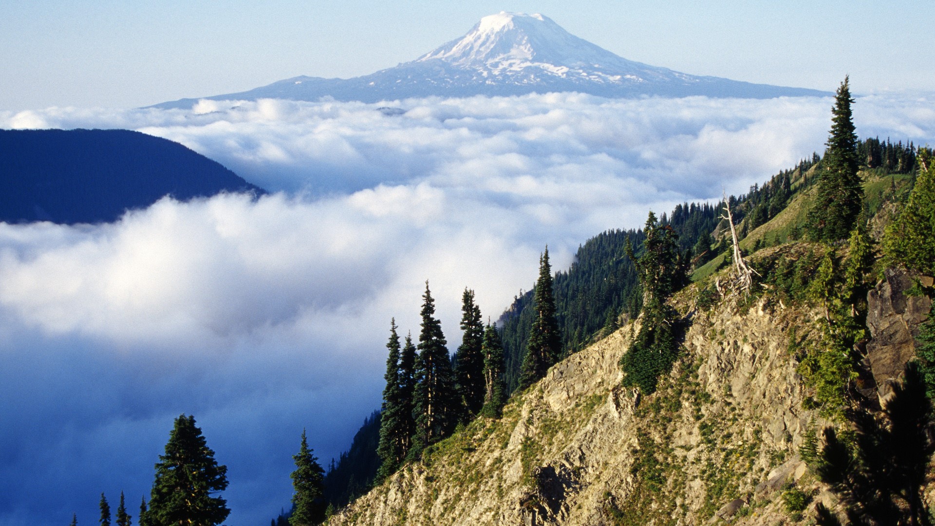 General 1920x1080 nature landscape mountains trees forest far view clouds snowy peak sky Mount Adams Washington USA
