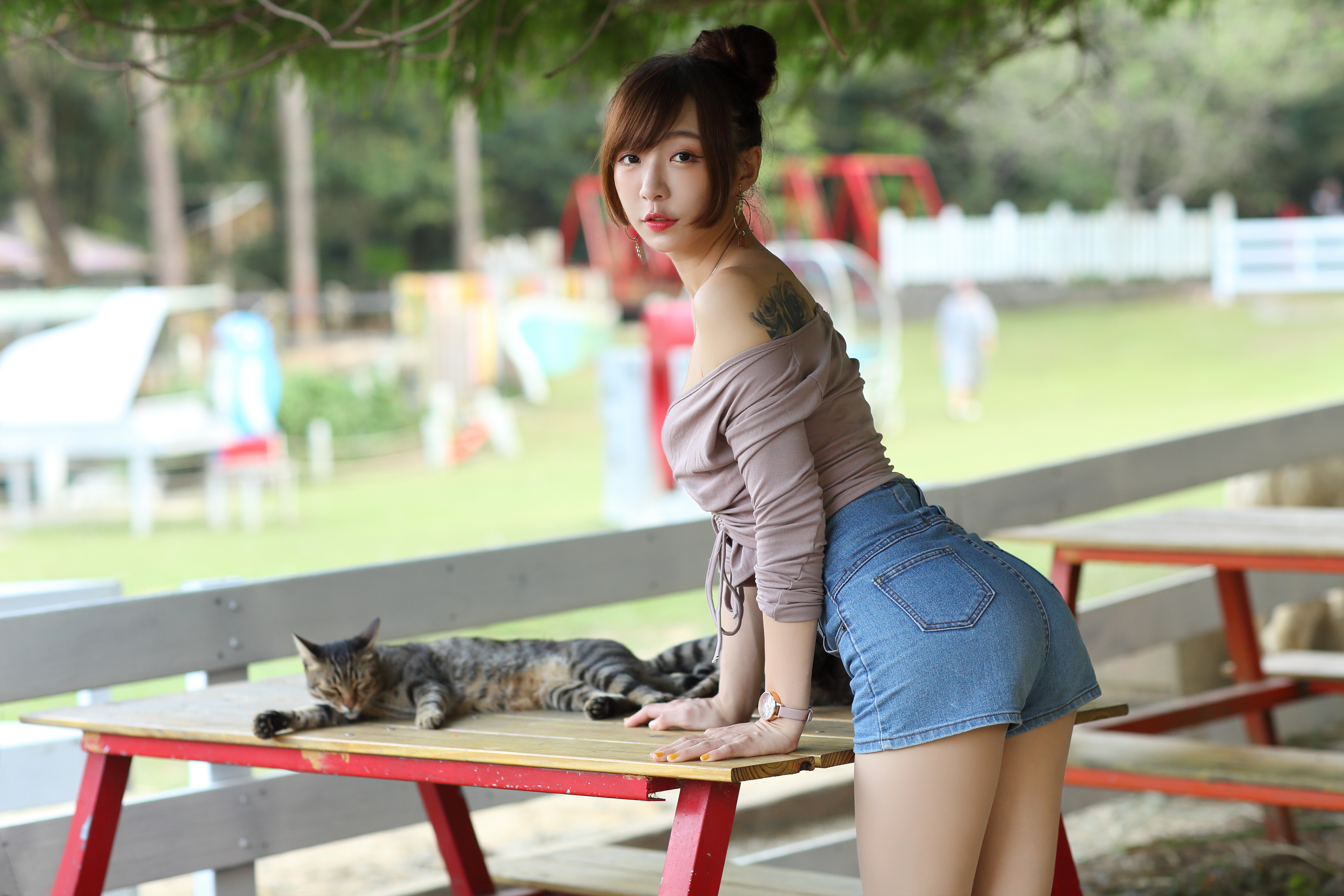 People 3840x2560 Asian model women long hair dark hair table bench depth of field cats jean shorts wristwatch tattoo short tops trees