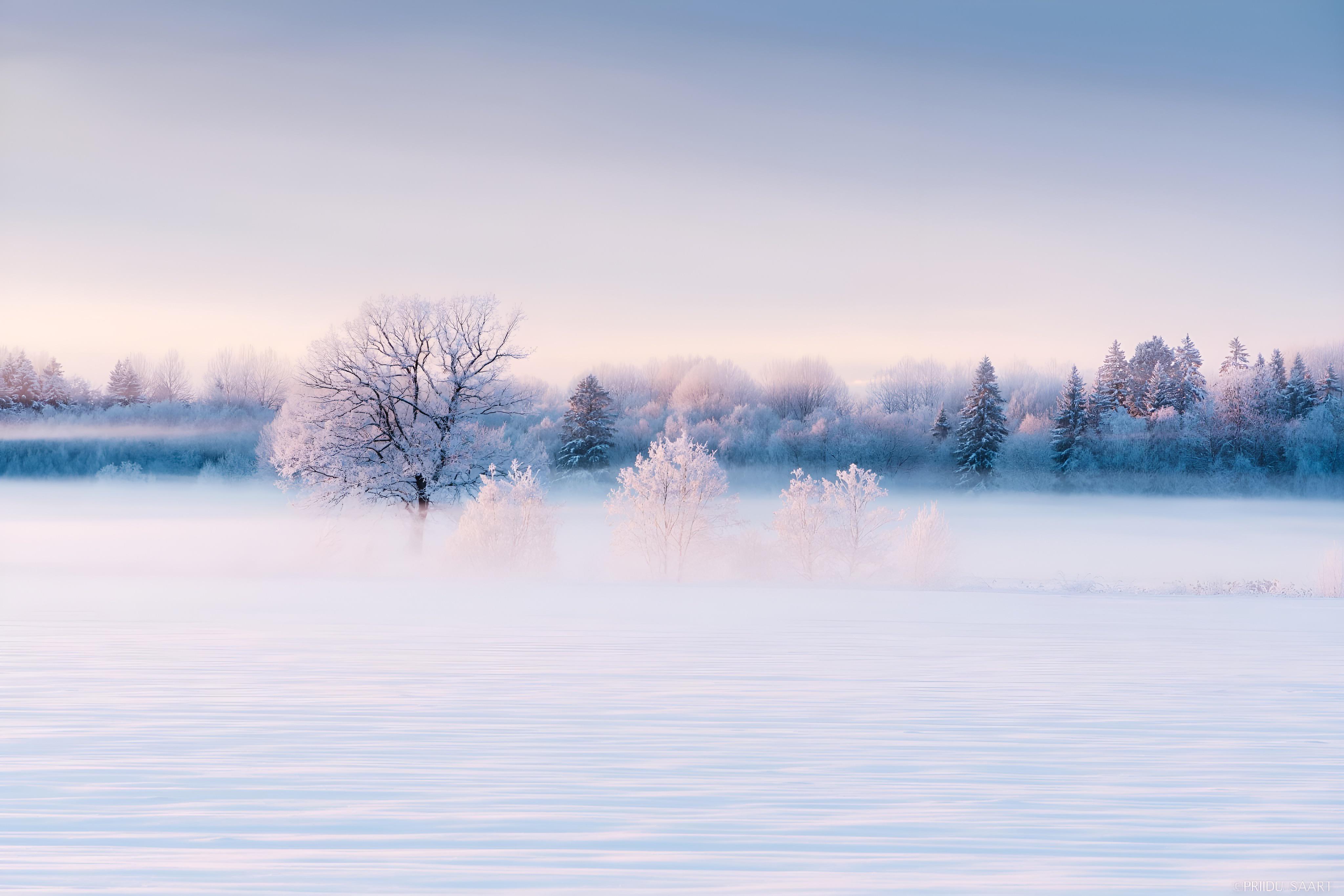 General 4096x2732 landscape nature winter snow ice frost forest field Estonia Europe mist trees