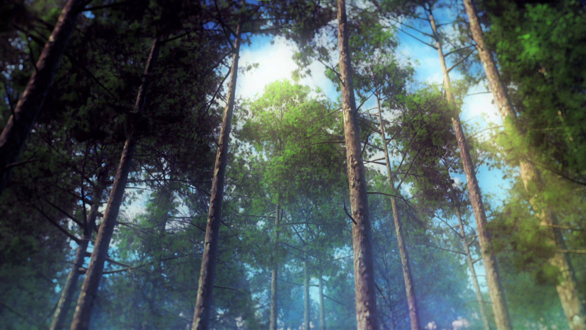 Anime 1920x1080 Kimetsu no Yaiba nature trees sky anime Anime screenshot clouds Sun