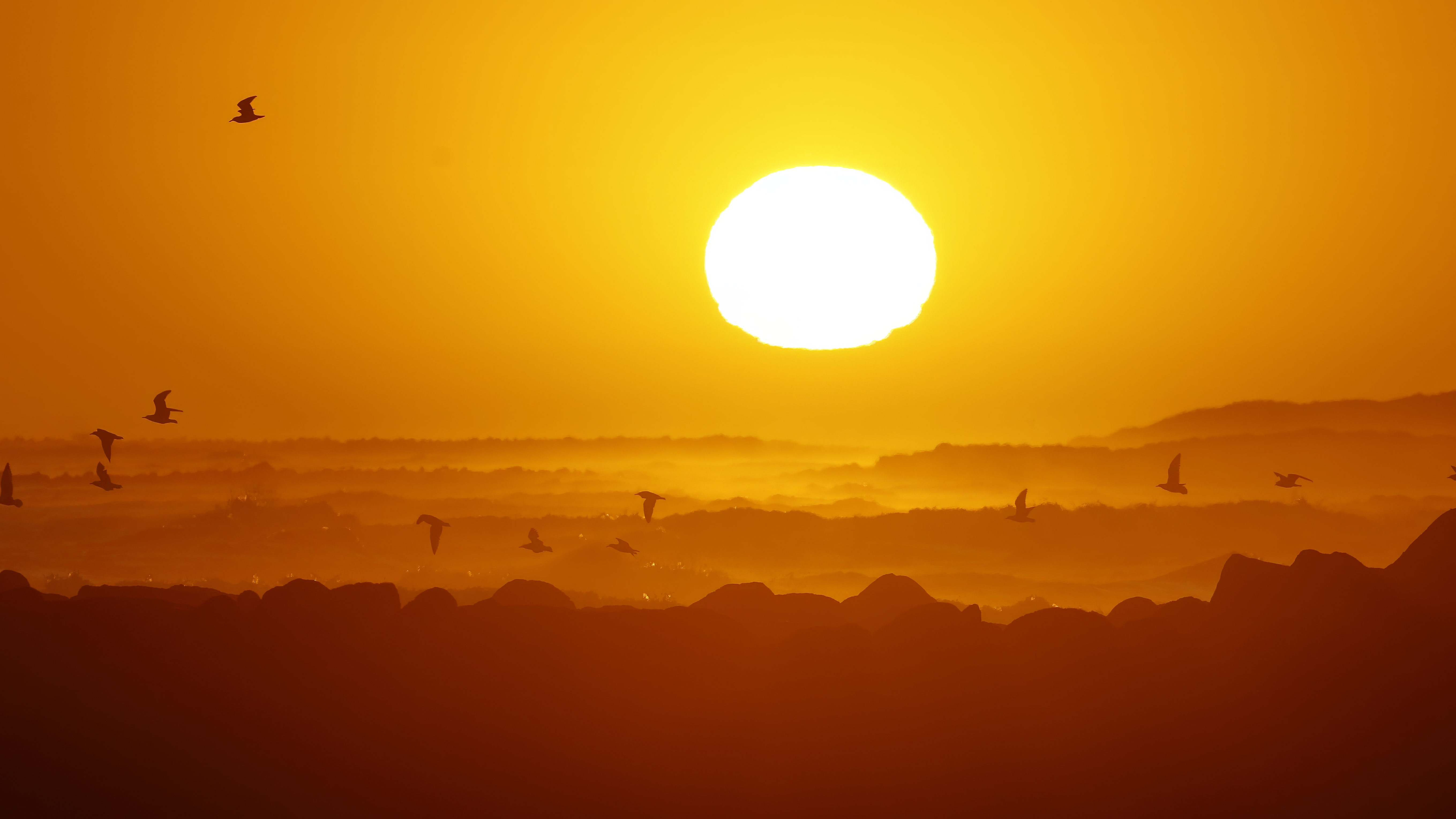 General 5436x3058 Sun bright silhouette flock of birds white light orange yellow dawn sunset