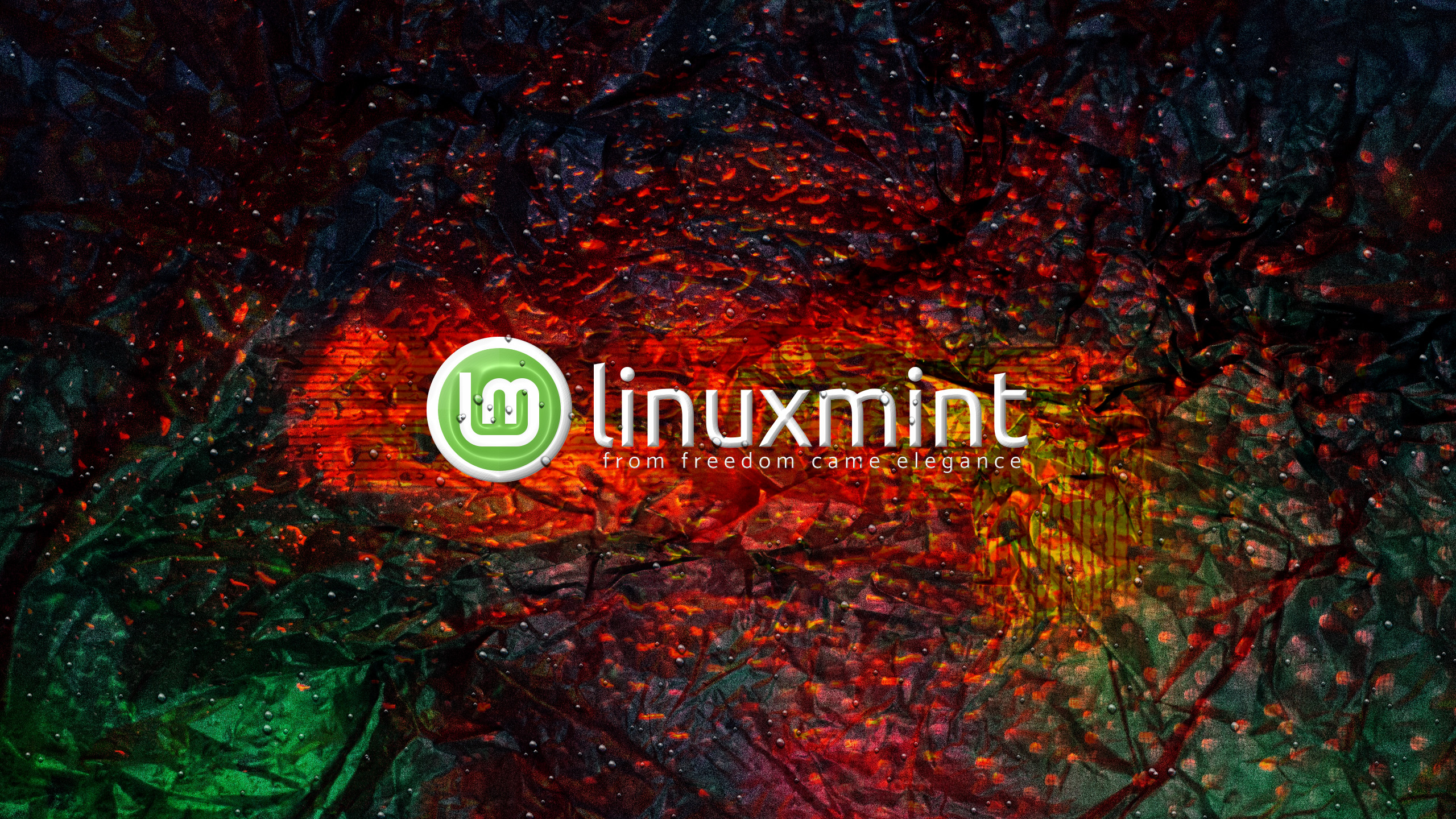 General 2560x1440 Linux Linux Mint abstract operating system