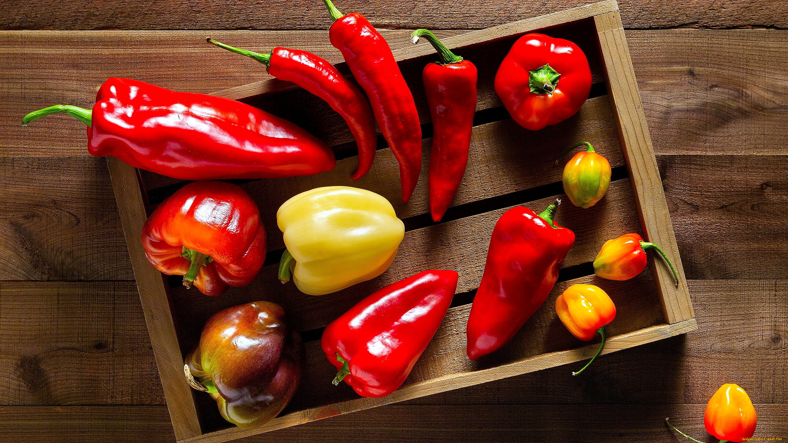 General 2560x1440 food vegetables colorful fruit pepper wooden surface top view chilli peppers closeup