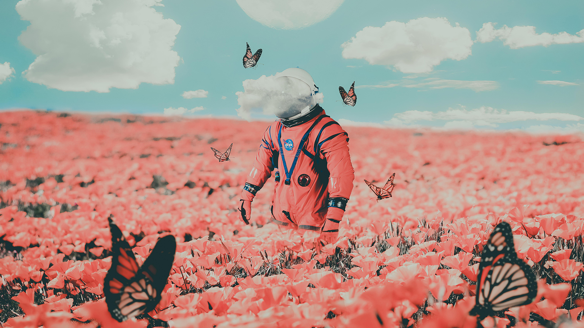 General 1920x1080 digital art clouds astronaut poppies pink flowers overcast NASA butterfly