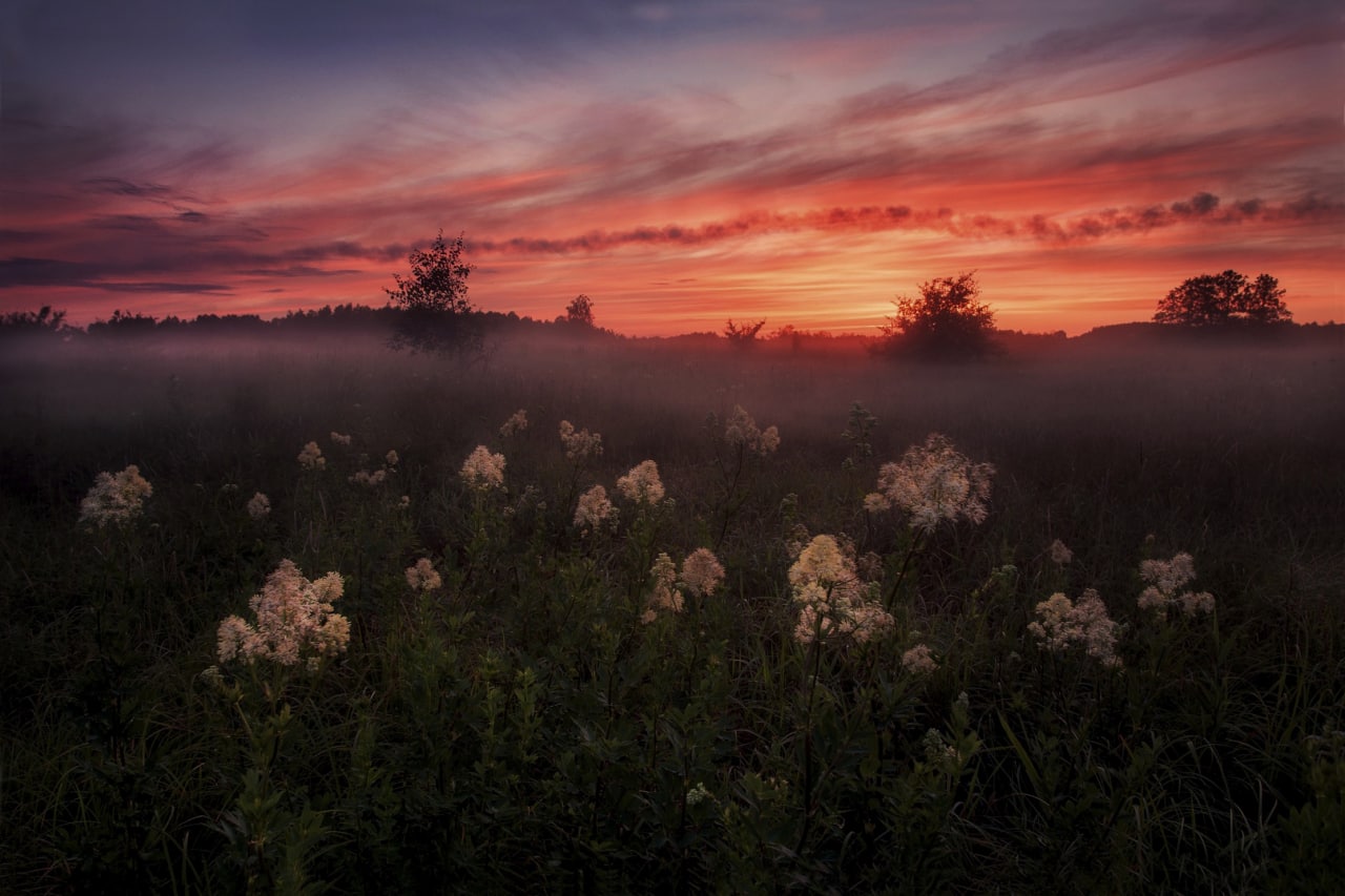 General 1280x853 Russia flowers morning evening nature
