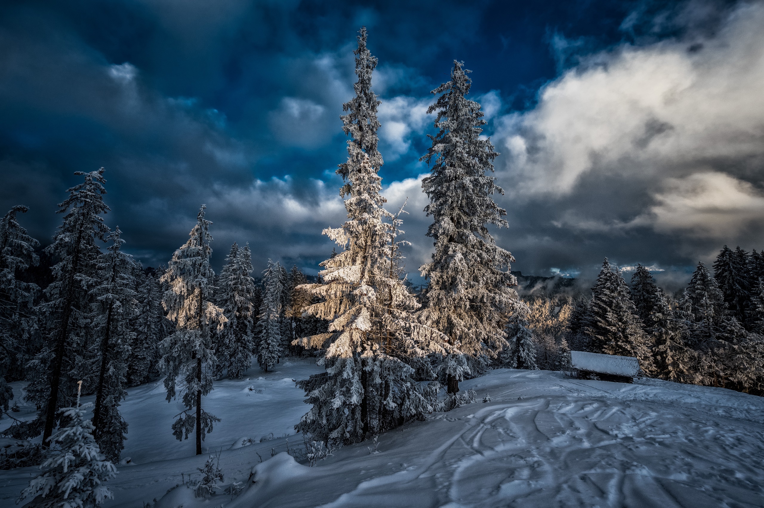 General 2560x1703 winter outdoors snow ice nature trees clouds