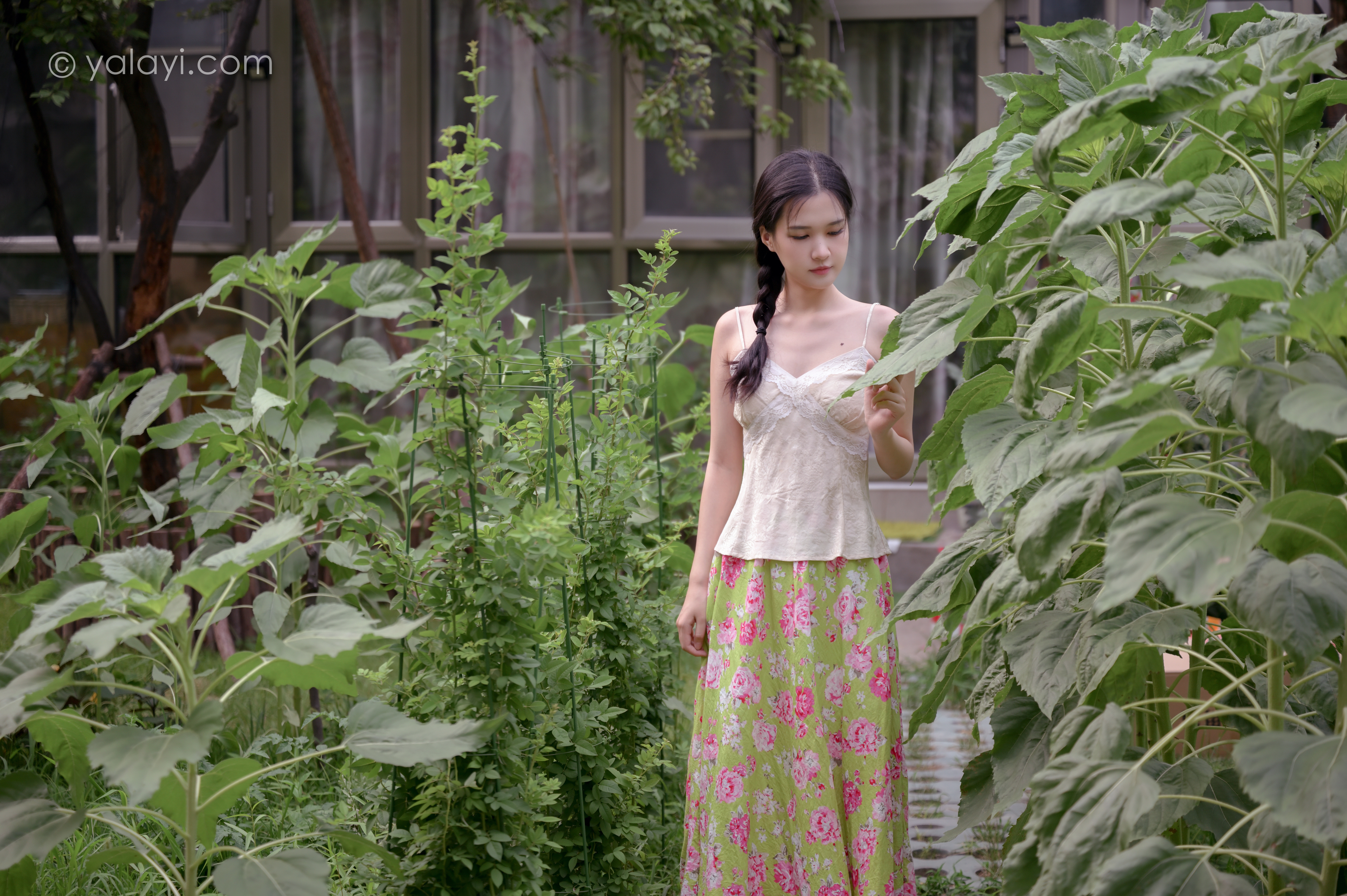 People 6048x4024 hanfu model Asian women yalayi brunette plants garden women outdoors