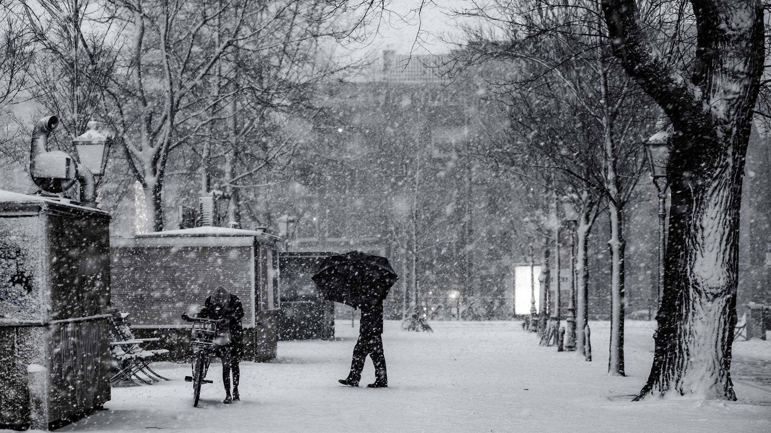 General 2560x1440 snowing monochrome park Charl Van Rooy winter