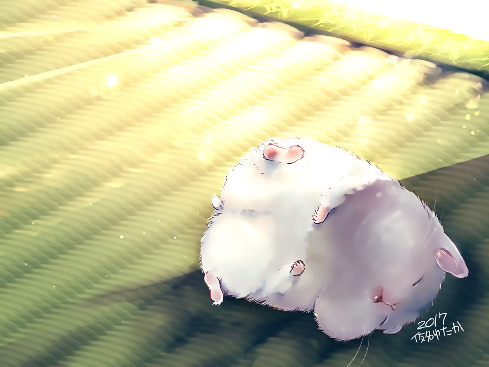 Anime 1920x1440 sleeping lying down hamster