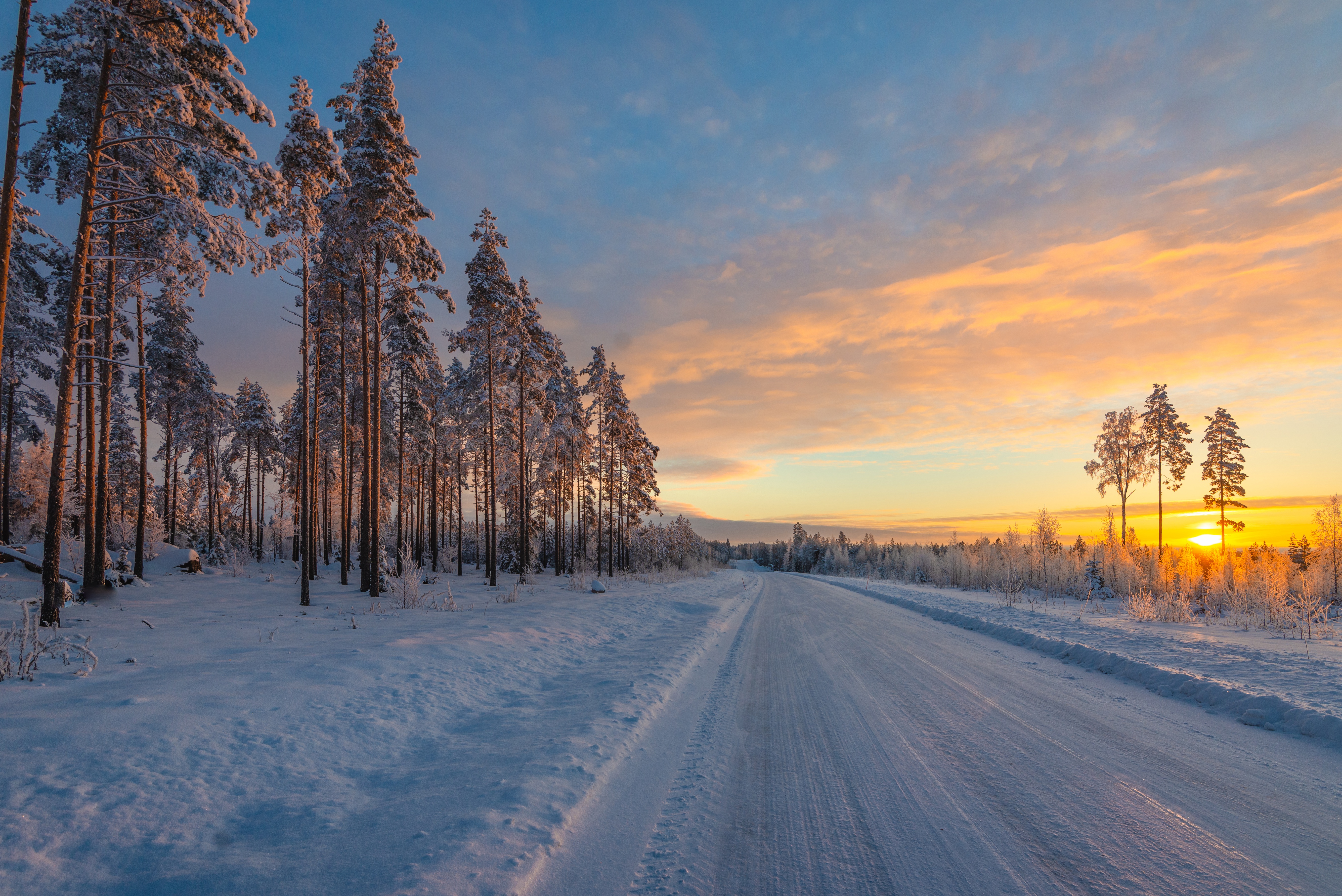 General 5337x3563 Finland winter snow trees sunset road sky clouds pine trees nature landscape