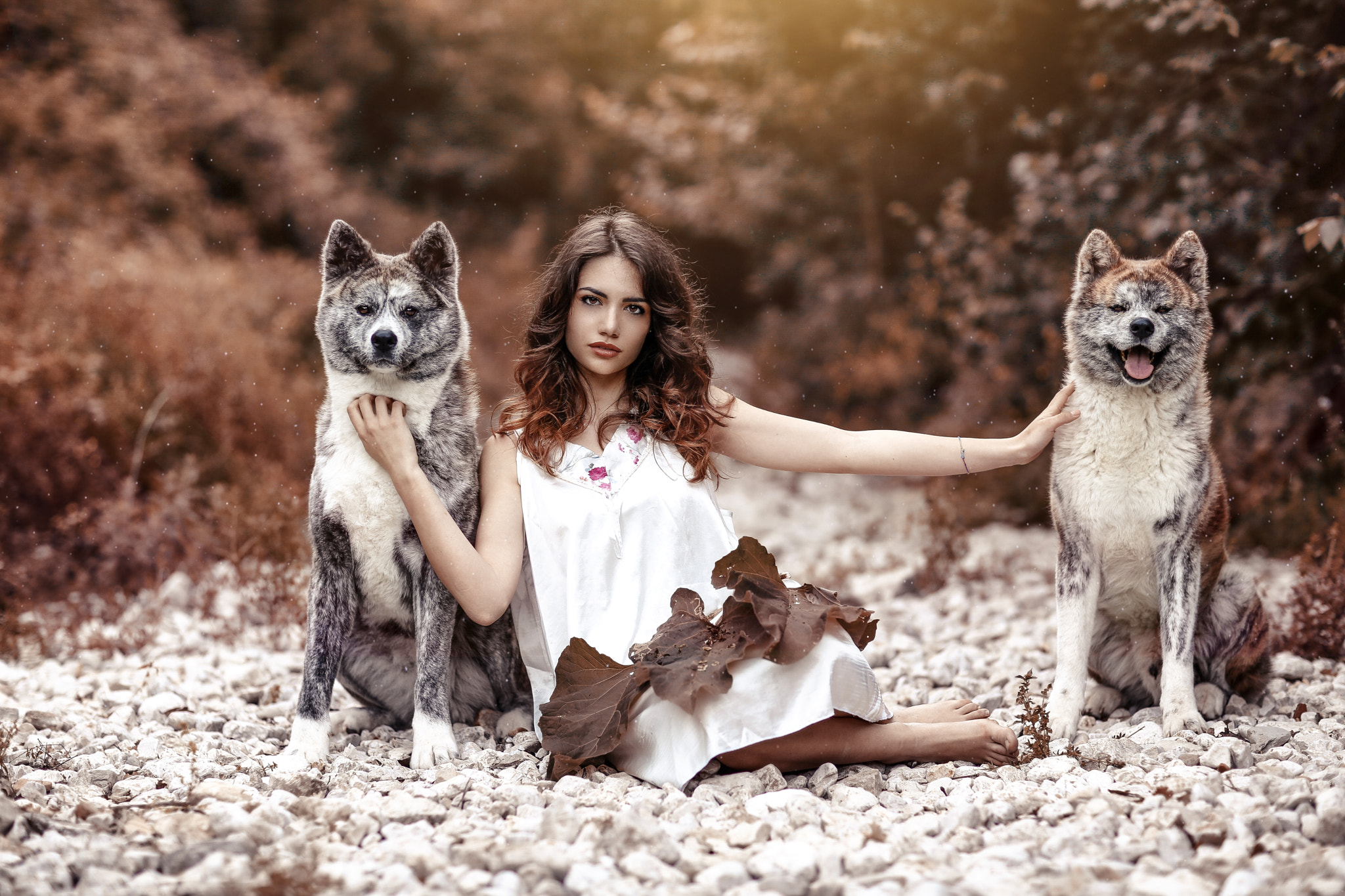People 2048x1365 Alessandro Di Cicco women brunette long hair wavy hair looking at viewer white clothing animals wolf stones fall leaves Arianna Storace model women outdoors