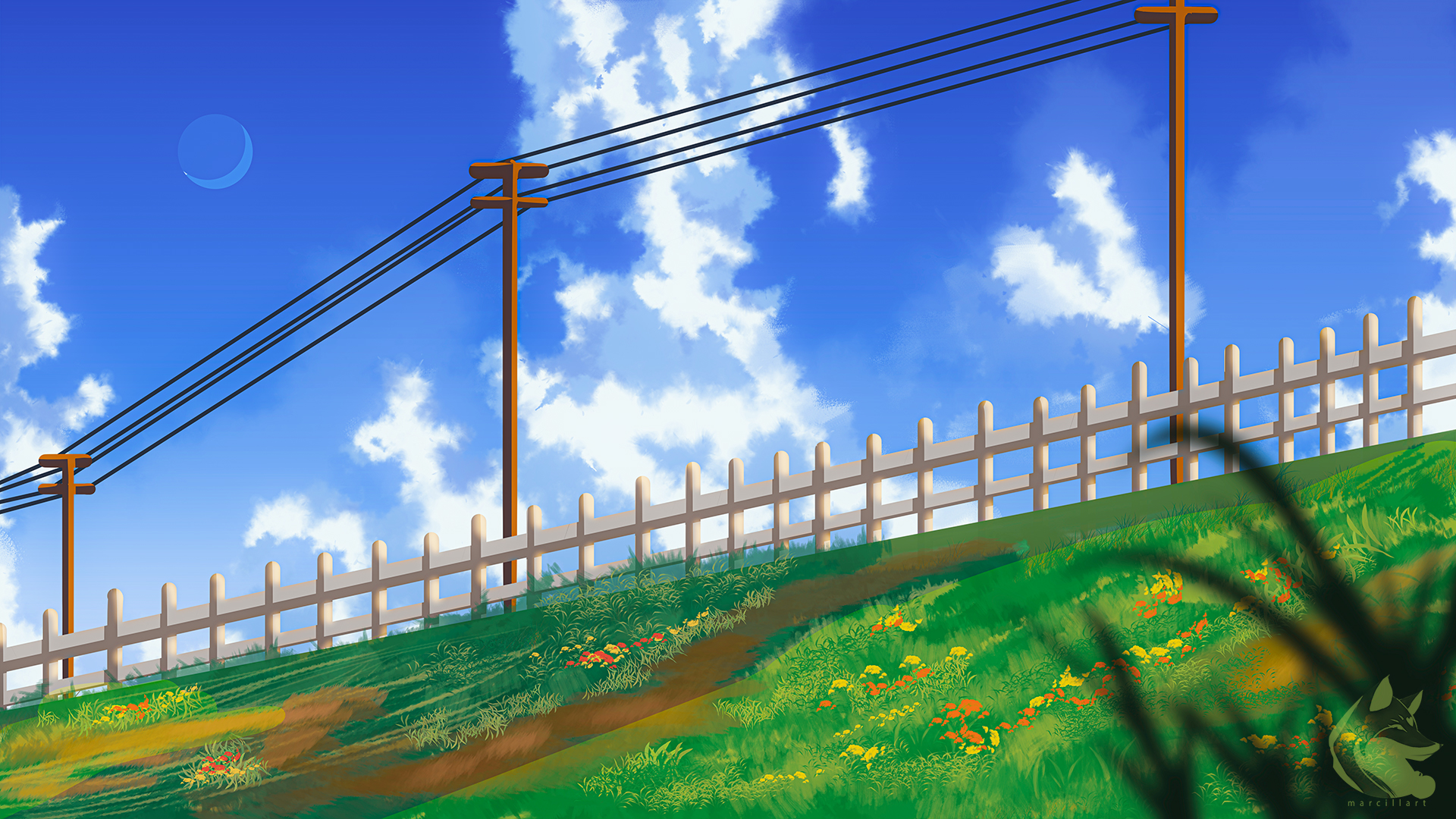General 1920x1080 clouds clear sky grass electric line utility pole flowers summer spring