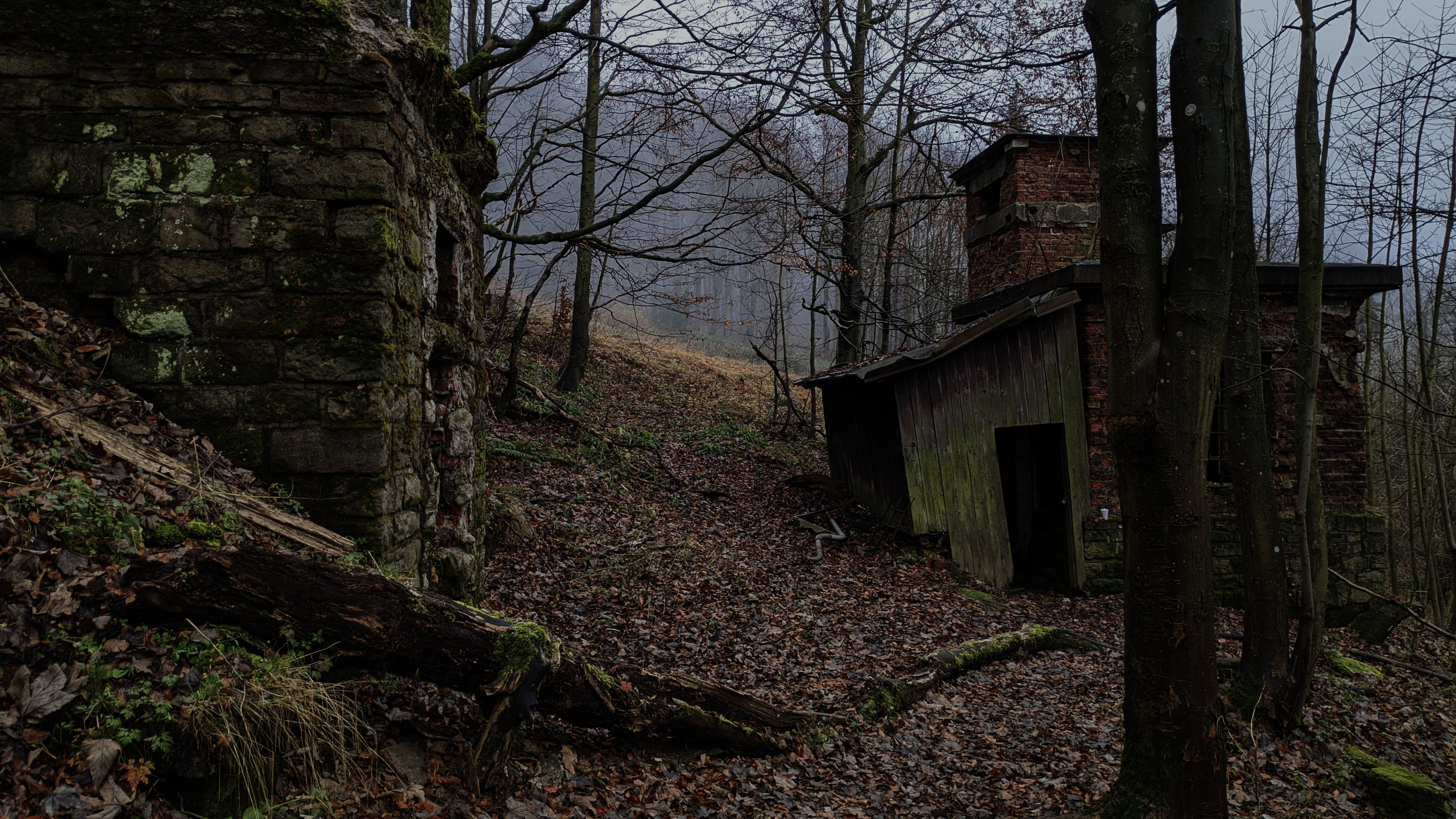 General 3840x2160 old building forest dark fall mist
