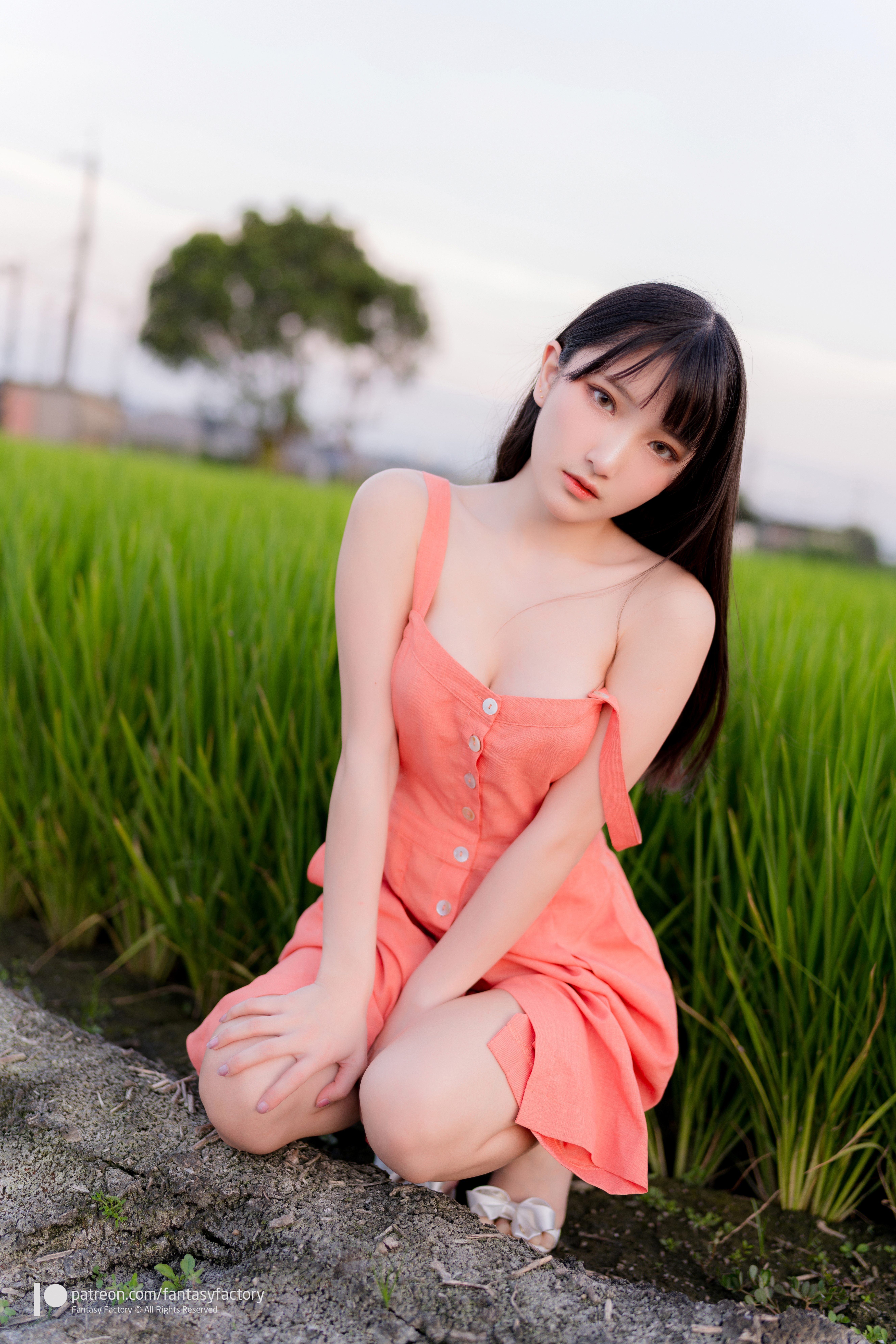 People 5304x7952 Fantasy Factory women model Asian brunette bangs dress looking at viewer cleavage bare shoulders squatting rice fields outdoors women outdoors portrait display depth of field parted lips