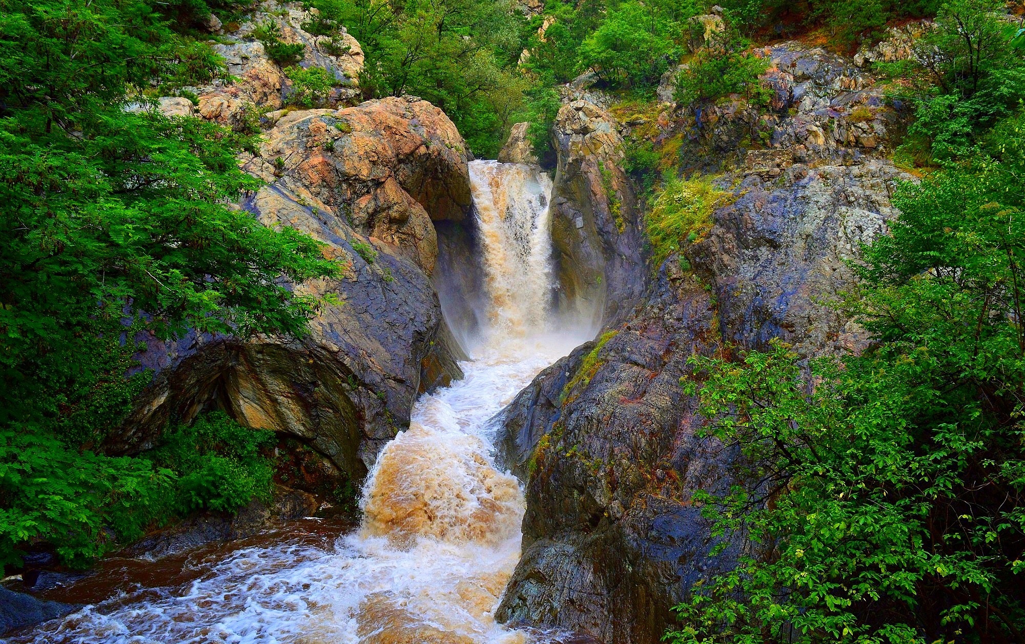 General 2000x1257 nature plants outdoors water creeks waterfall rocks stones