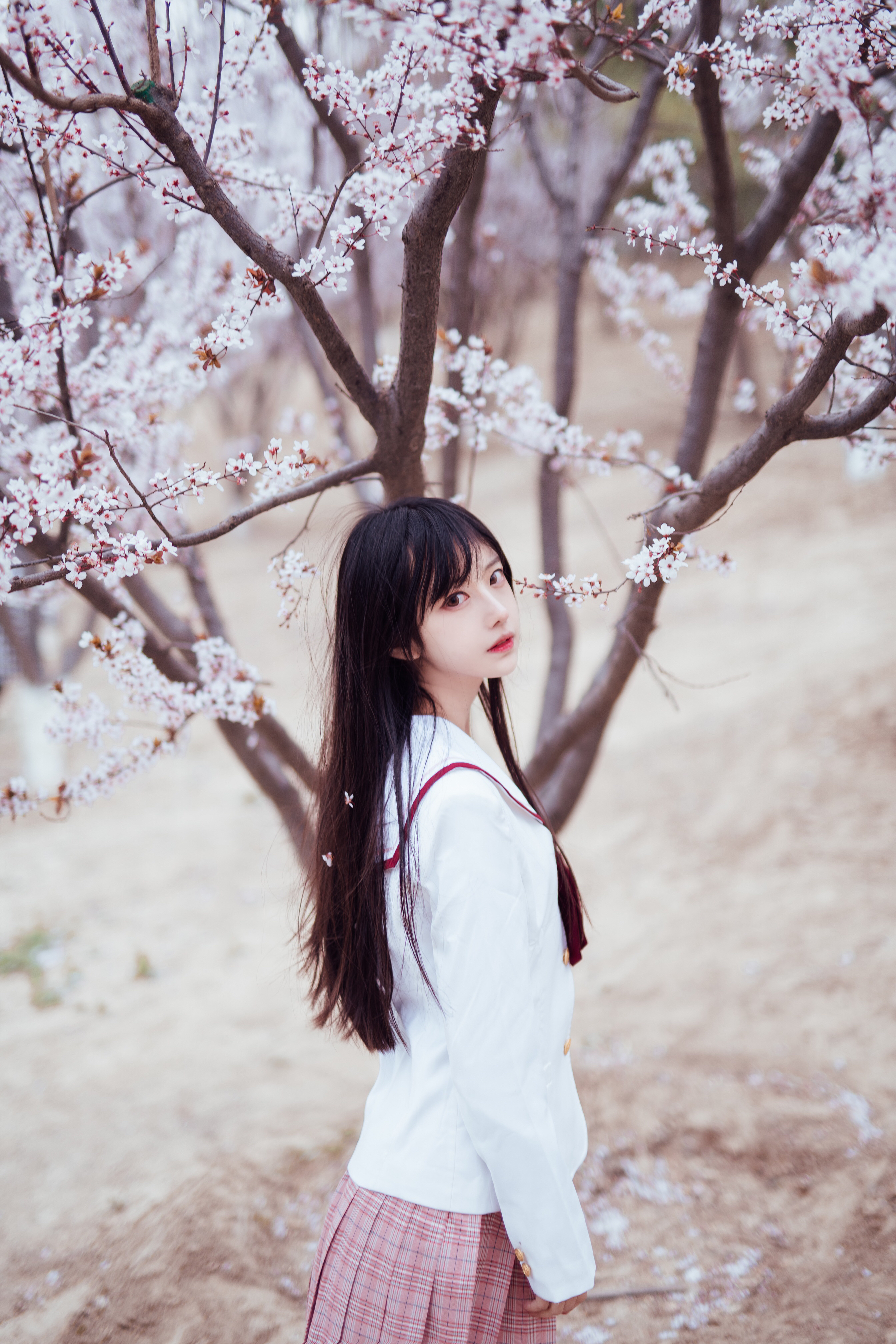 People 2688x4032 cherry blossom Asian women model dark hair women outdoors standing trees plants looking at viewer long hair Shika XiaoLu