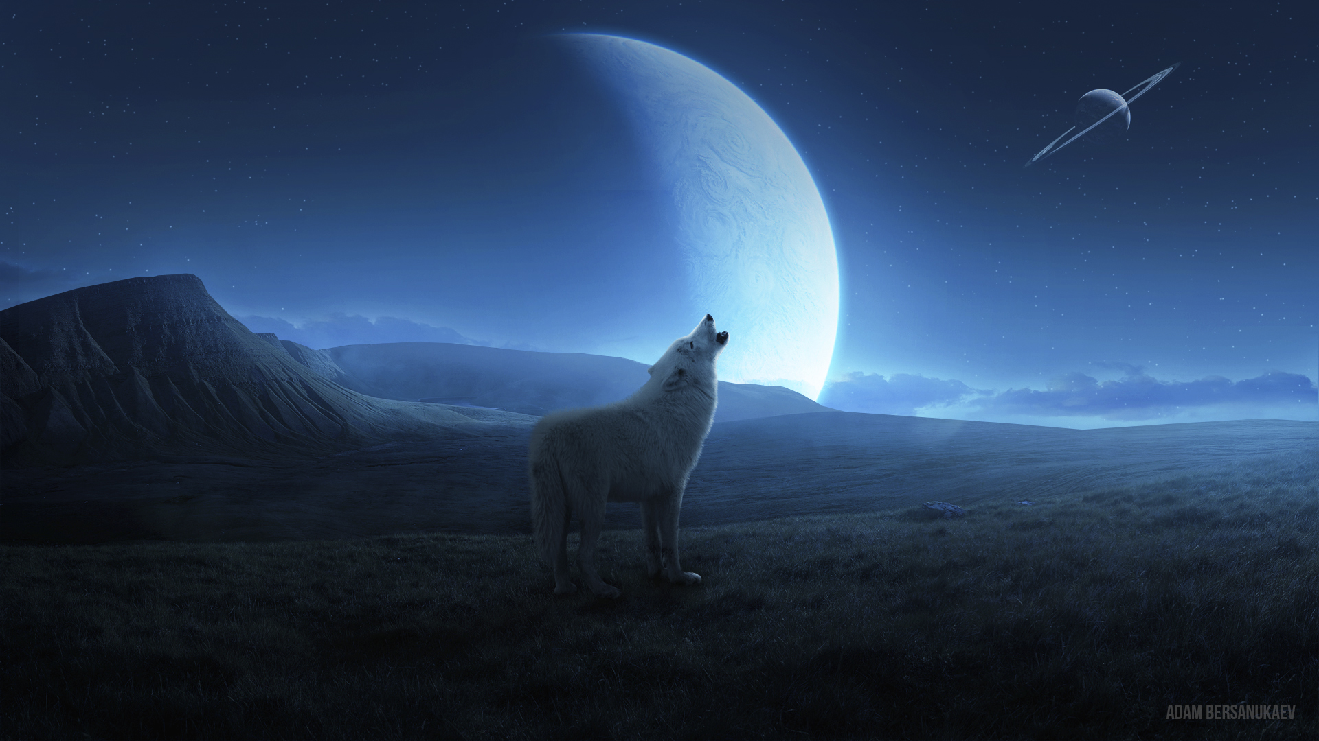 General 1920x1080 landscape night planet stars animals wildlife wolf