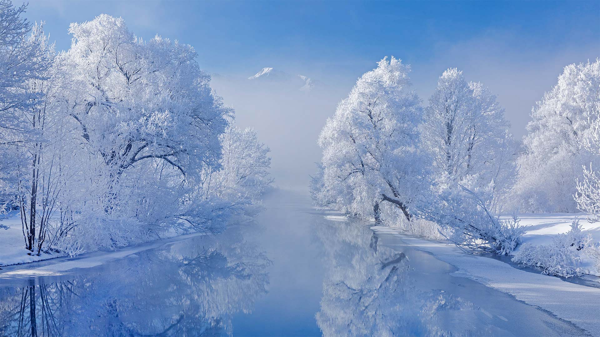 General 1920x1080 Bing nature landscape trees snow frost river winter