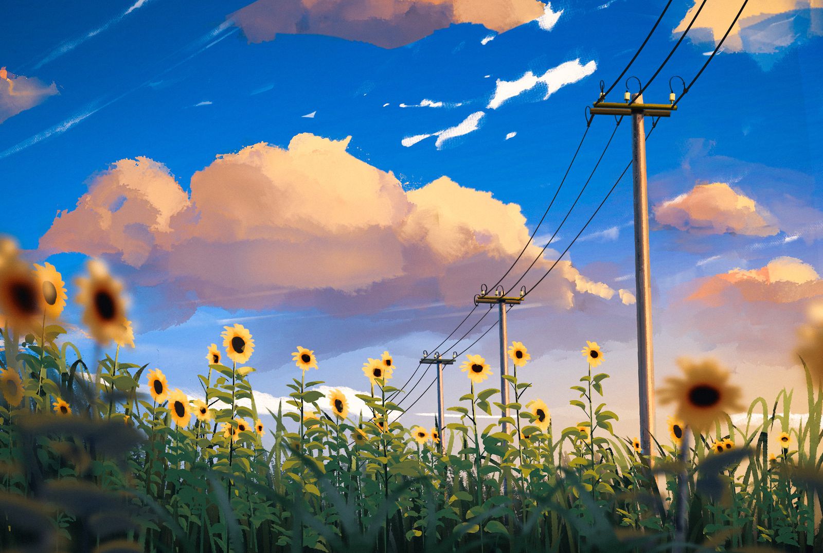 General 1600x1075 nature flowers artwork sunflowers power lines sky clouds plants outdoors