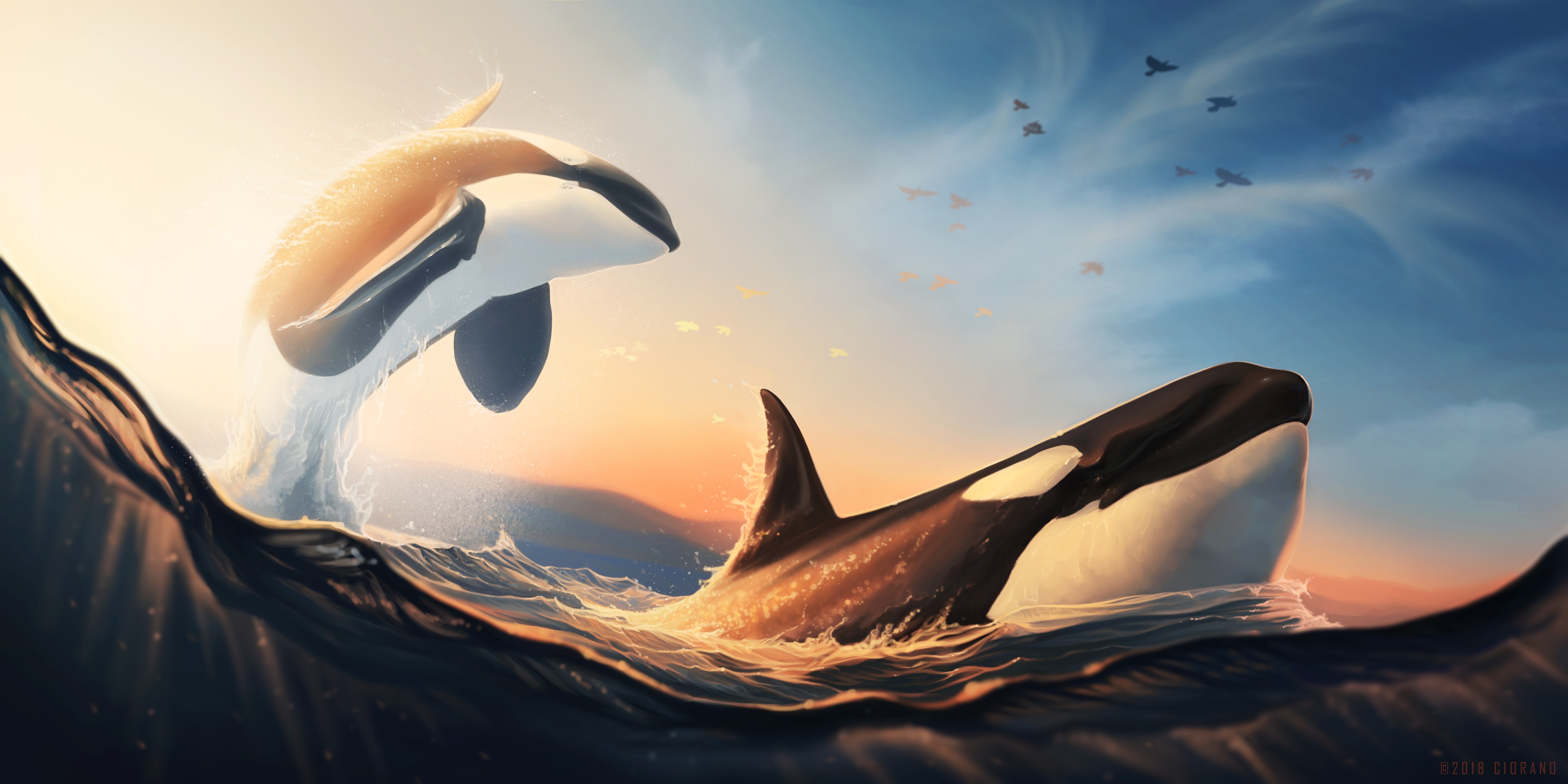 General 4000x2000 animals whale sea nature mammals artwork orca birds digital art watermarked 2018 (year)