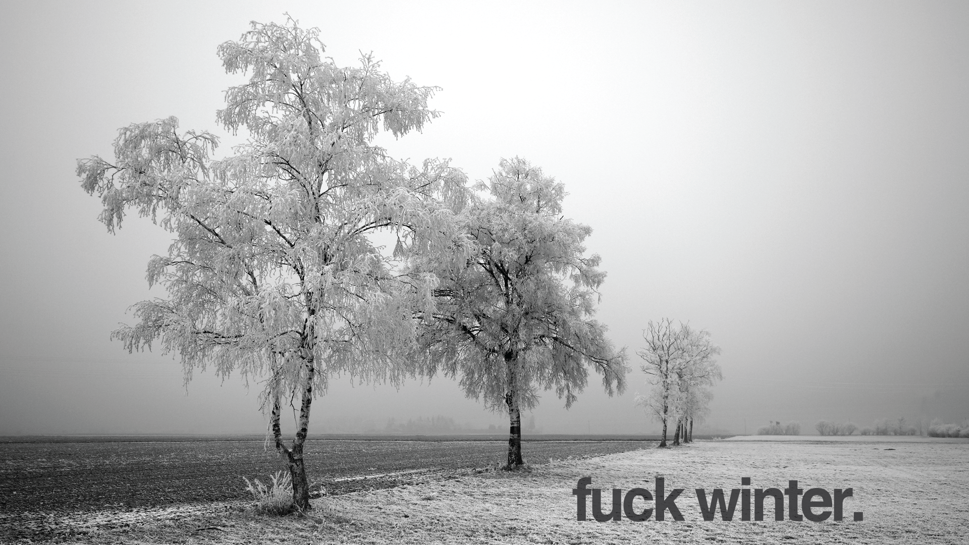 General 1920x1080 fuck winter white trees snow mist field frost humor profanity fuckscape cold