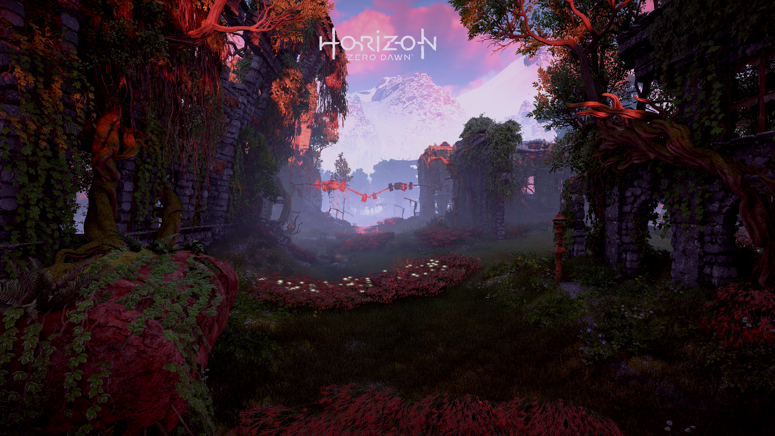 General 2560x1440 Horizon: Zero Dawn video games screen shot