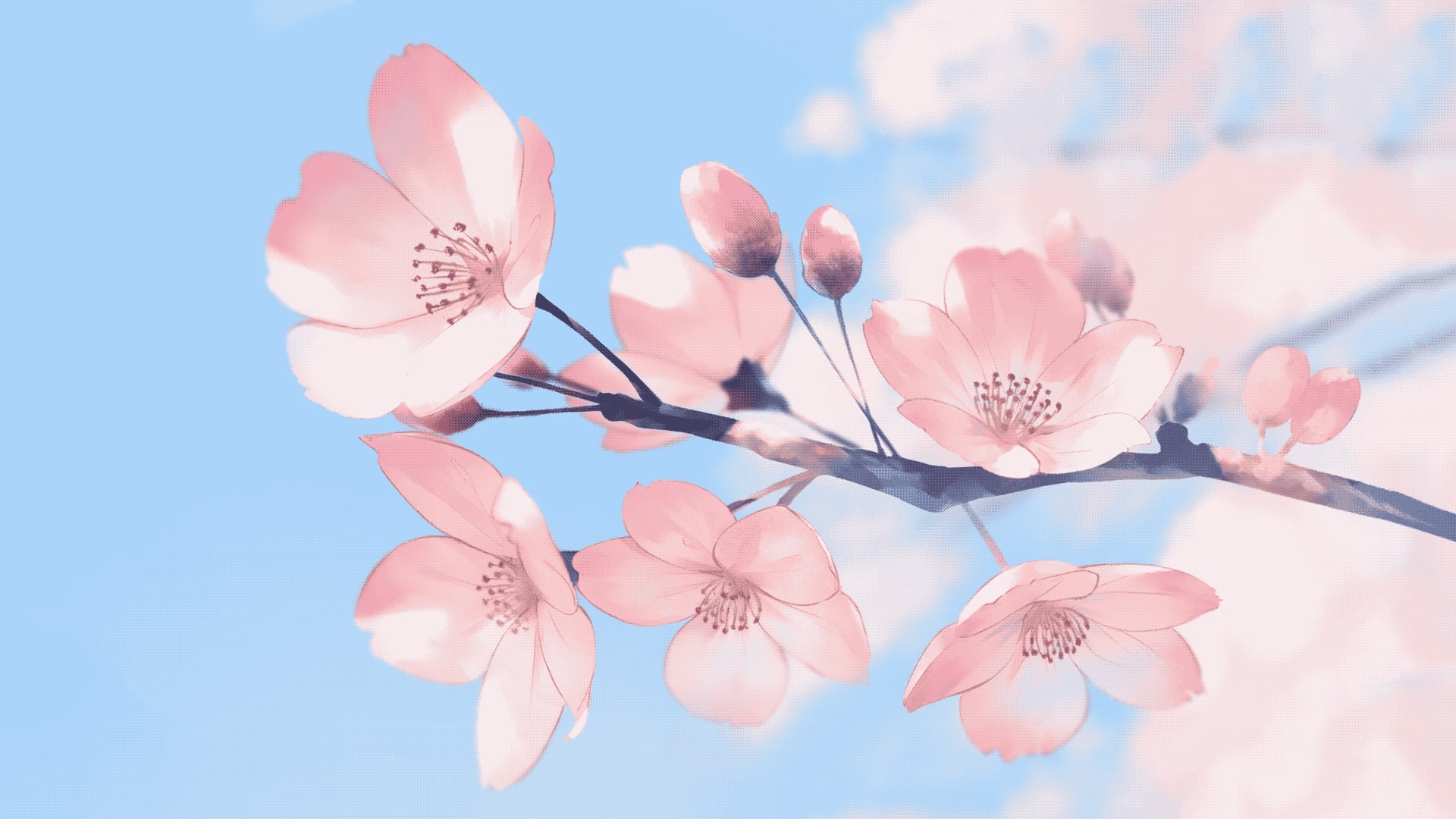 cherry blossom, pink, flowers, anime, plants | 1920x1080 Wallpaper