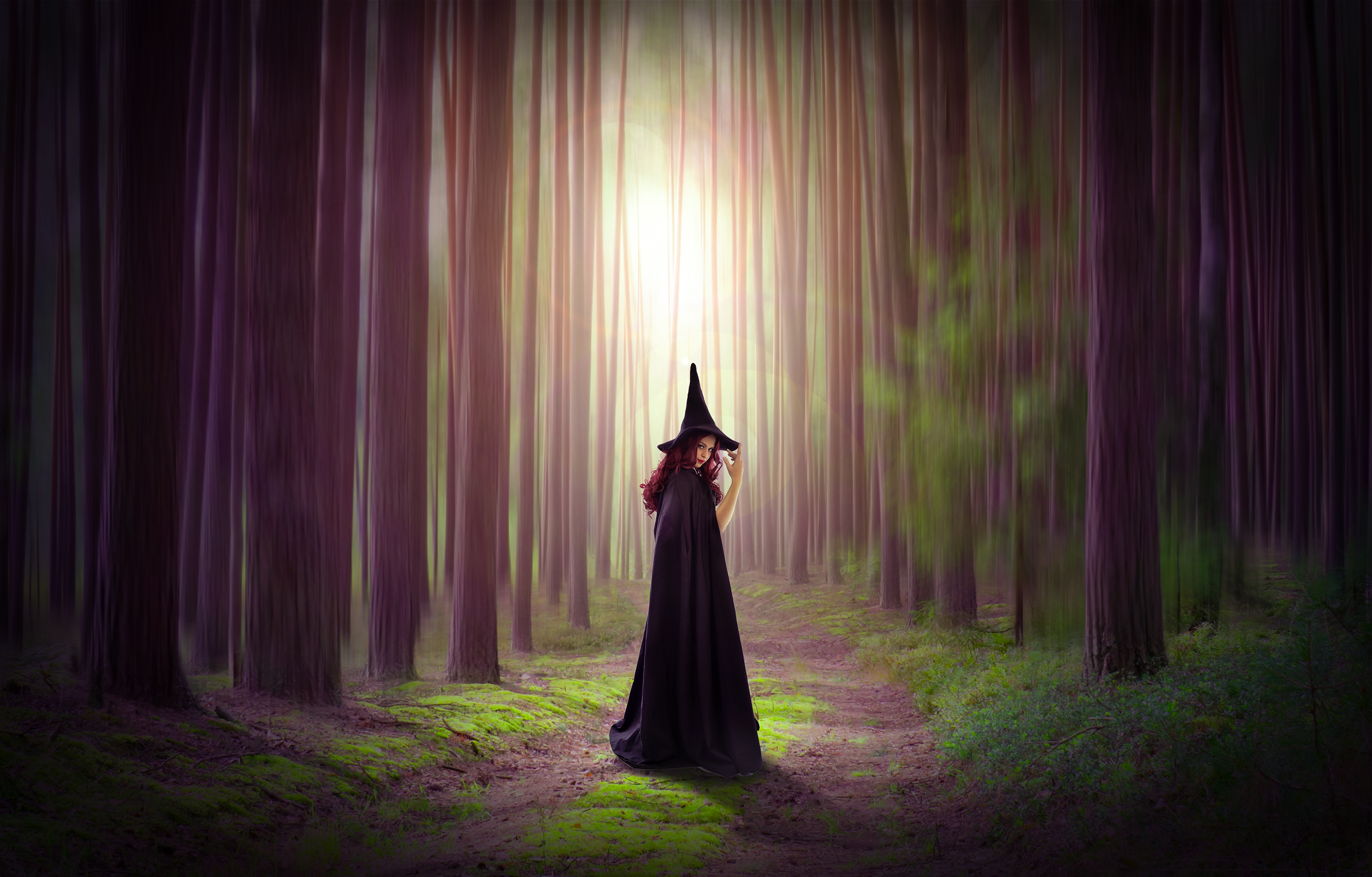 General 2736x1748 photoshopped photo manipulation forest trees green magenta witch witch hat dirt road digital art