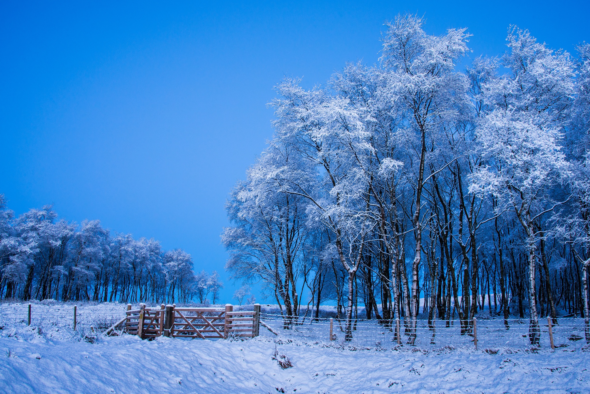 General 2048x1367 winter snow outdoors trees landscape