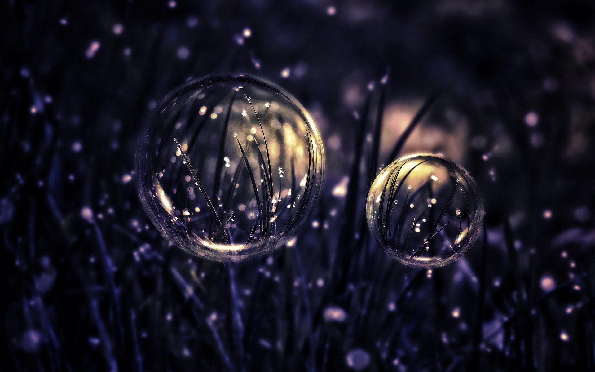 General 1920x1200 bubbles water drops simple background grass