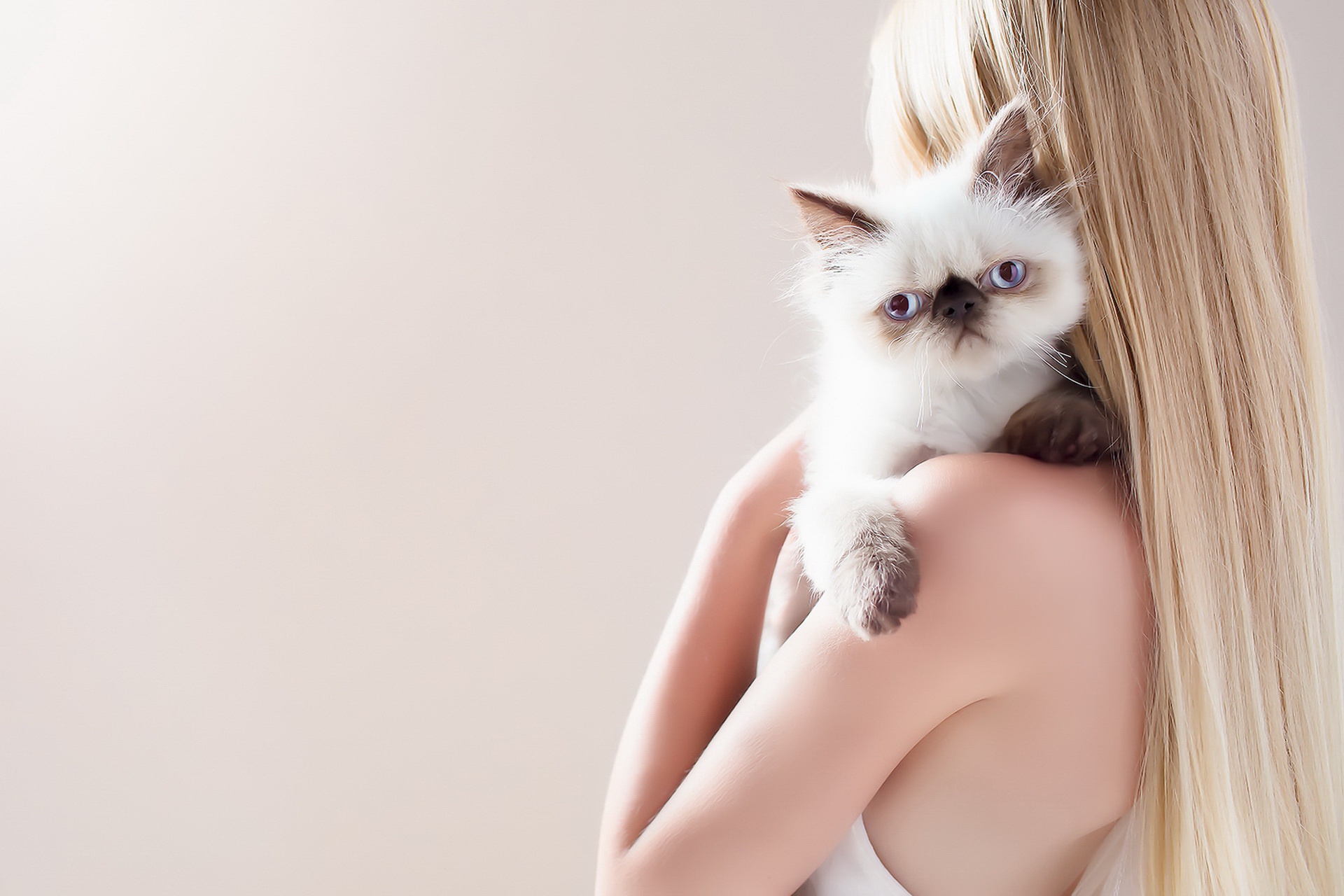 People 1920x1280 women cats animals blonde simple background