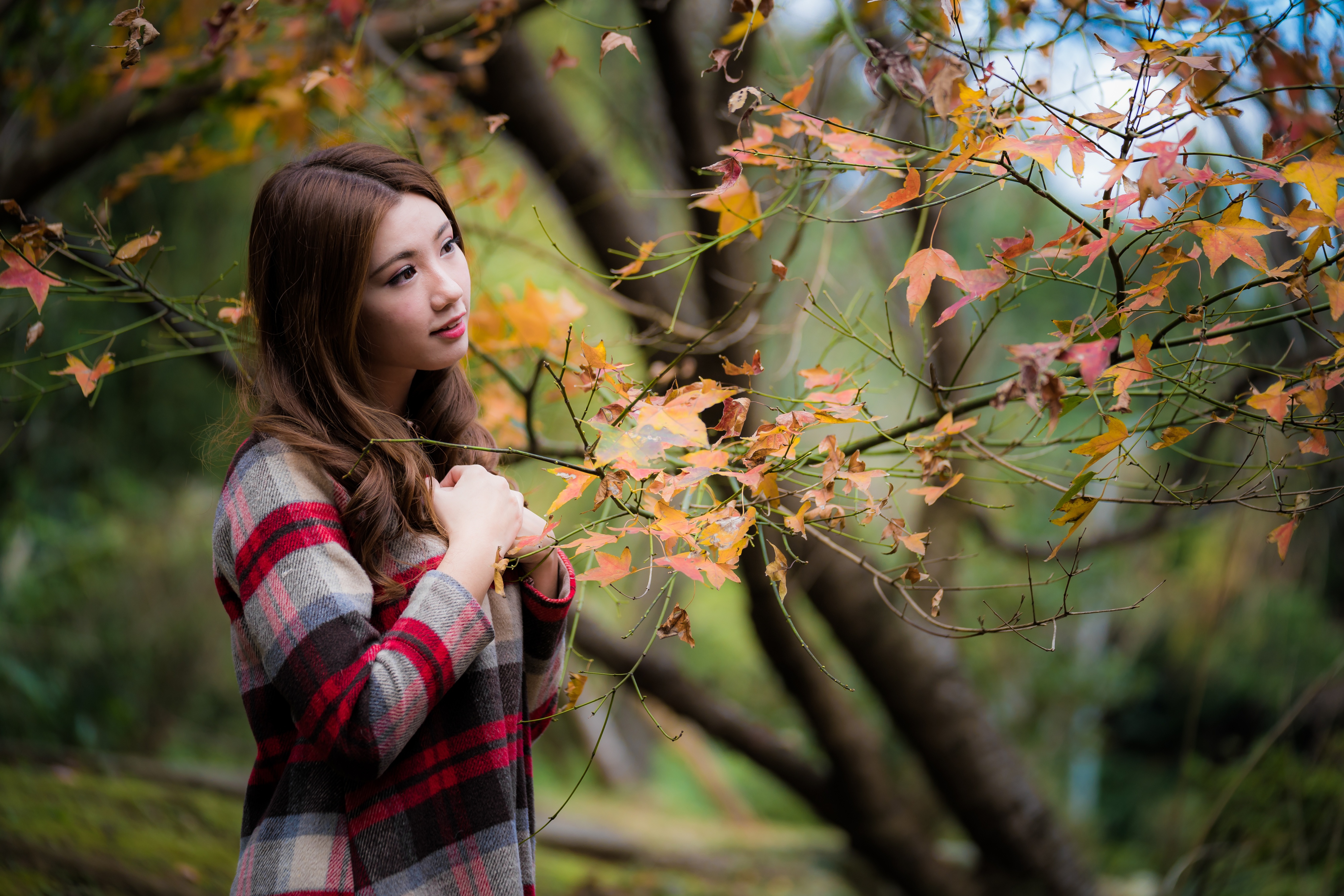 People 4500x3002 Asian women women outdoors leaves forest looking away brunette trees hand(s) on chest Ellen Chang