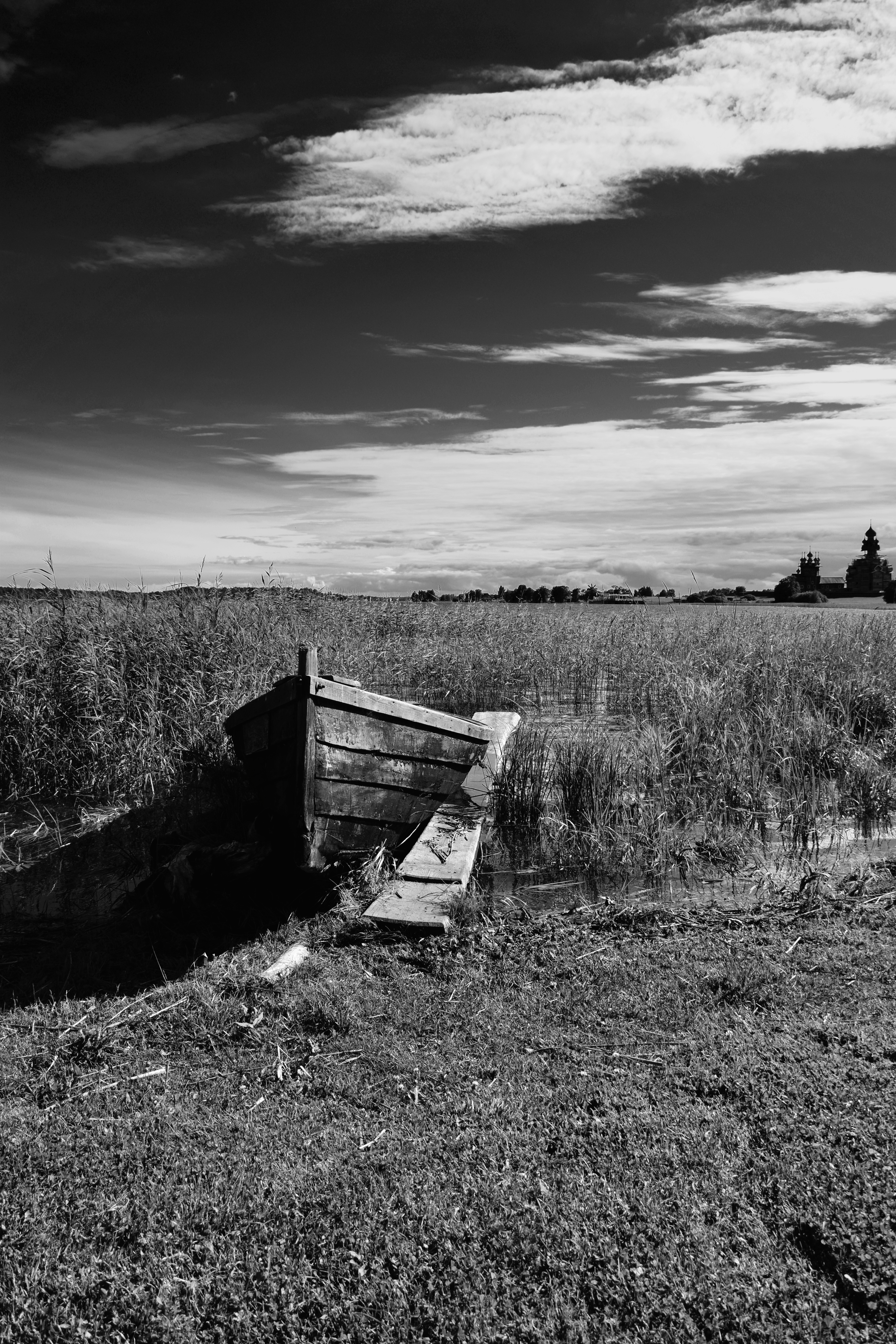 General 4000x6000 nature monochrome boat grass water reeds