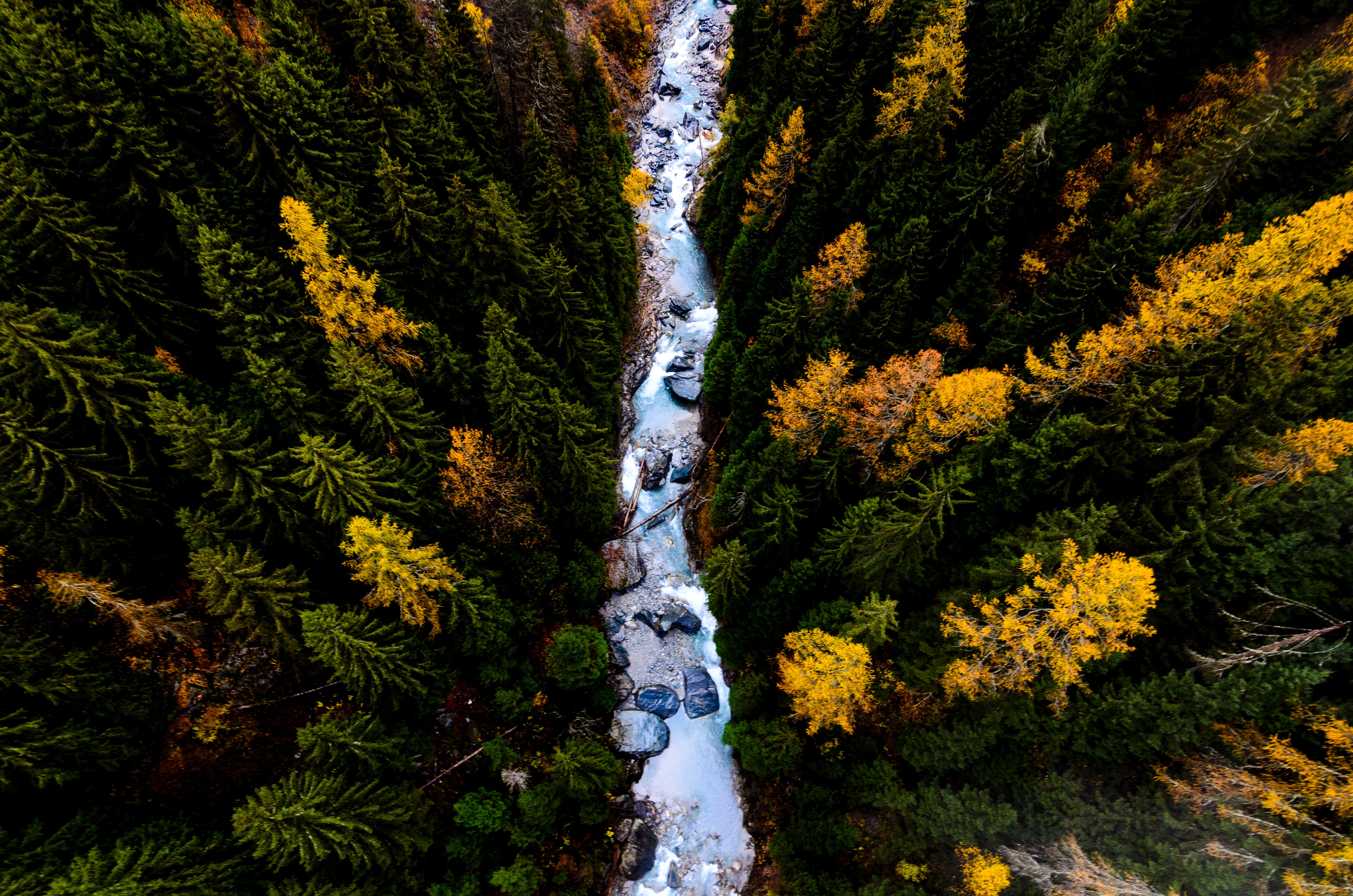 General 4928x3264 landscape forest river aerial view
