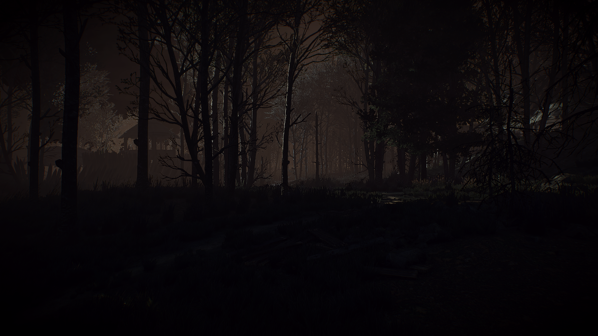 General 1920x1080 The Witcher 3: Wild Hunt video games dark forest brown RPG PC gaming screen shot