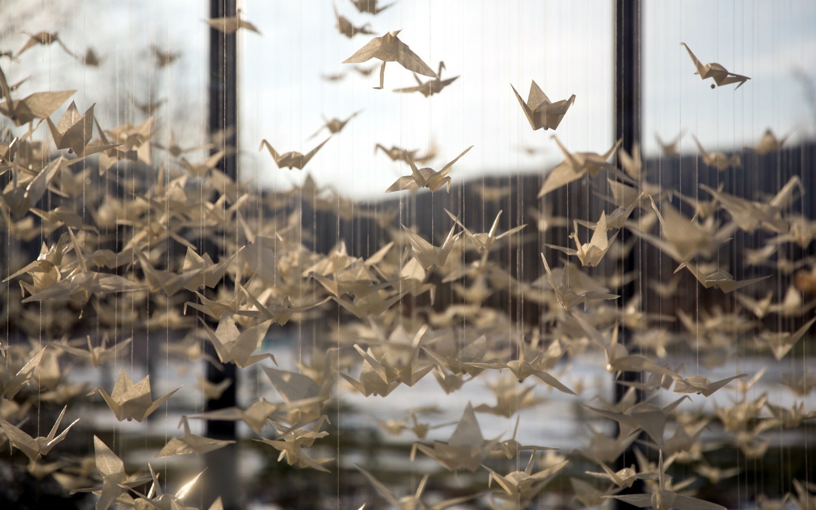 General 1680x1050 origami birds cords photography paper cranes paper animals