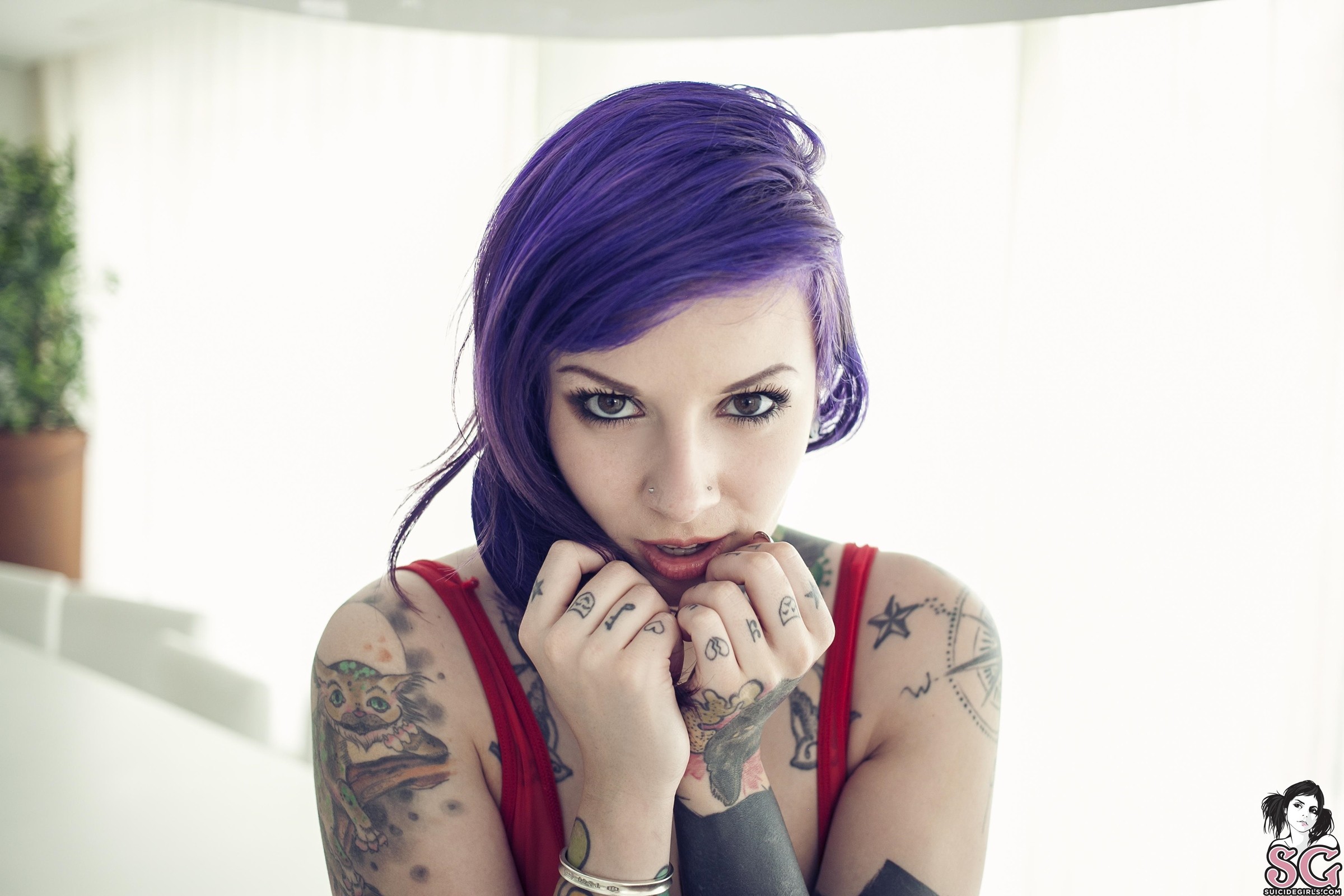People 2400x1600 Suicide Girls dyed hair purple hair pierced nose frontal view looking at viewer Rebecca Crow inked girls watermarked women indoors women indoors model