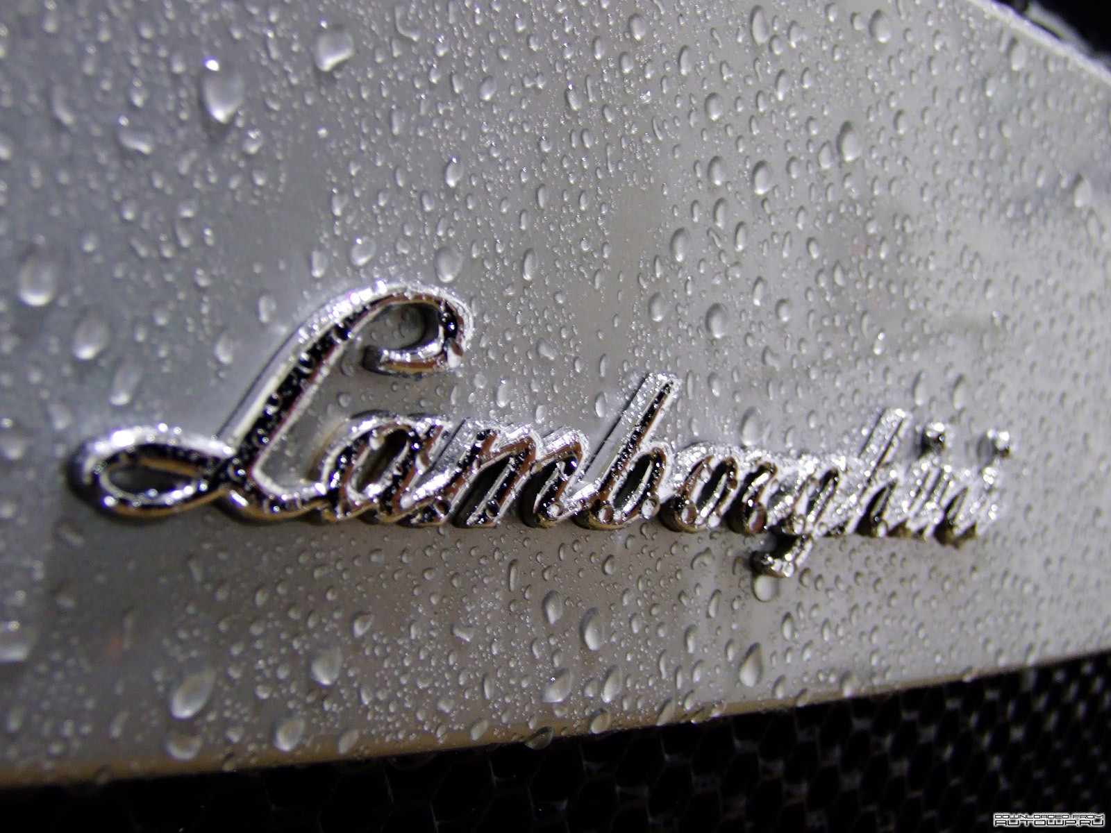 General 1600x1200 car Lamborghini water drops logo wet closeup vehicle italian cars Volkswagen Group