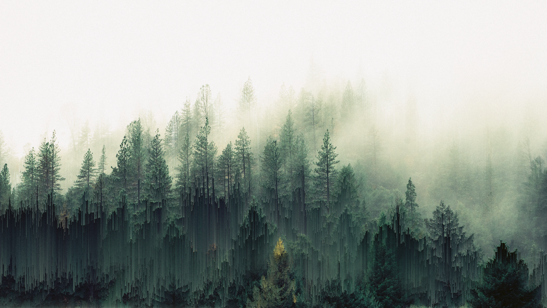 General 1920x1080 forest trees mist pixel sorting glitch art green
