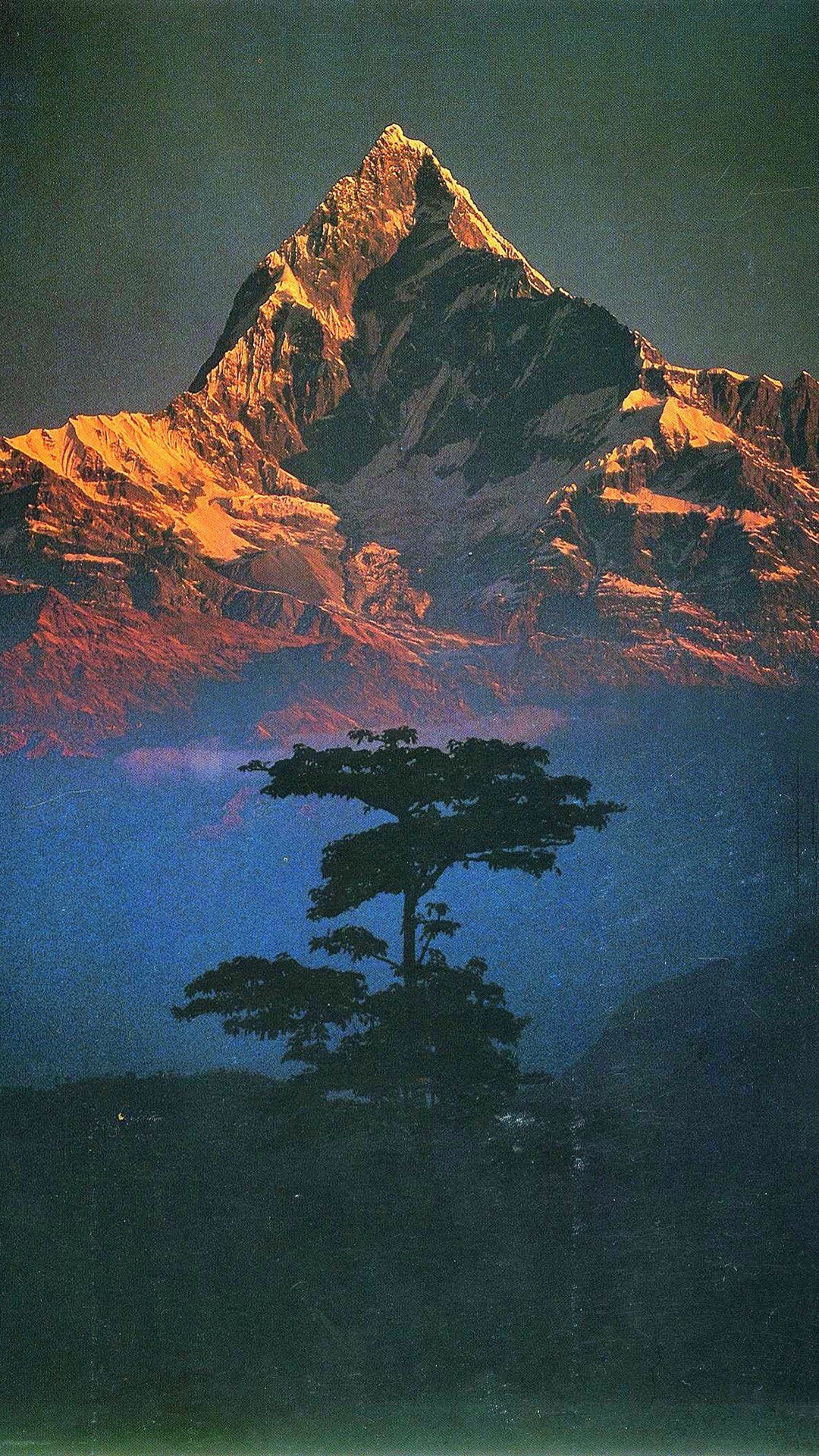 General 1080x1920 nature landscape mountains trees portrait display filter Nepal snowy mountain sunlight Annapurna Himalayas